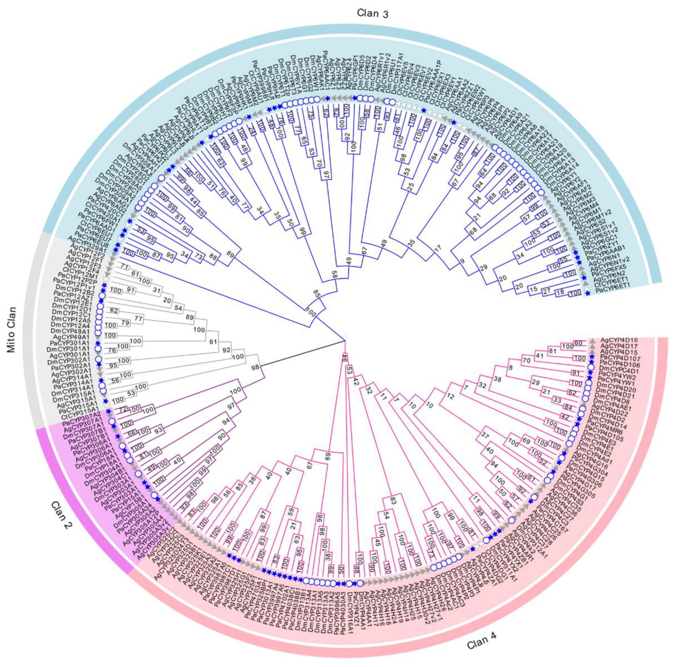 Insects 13 00765 g002