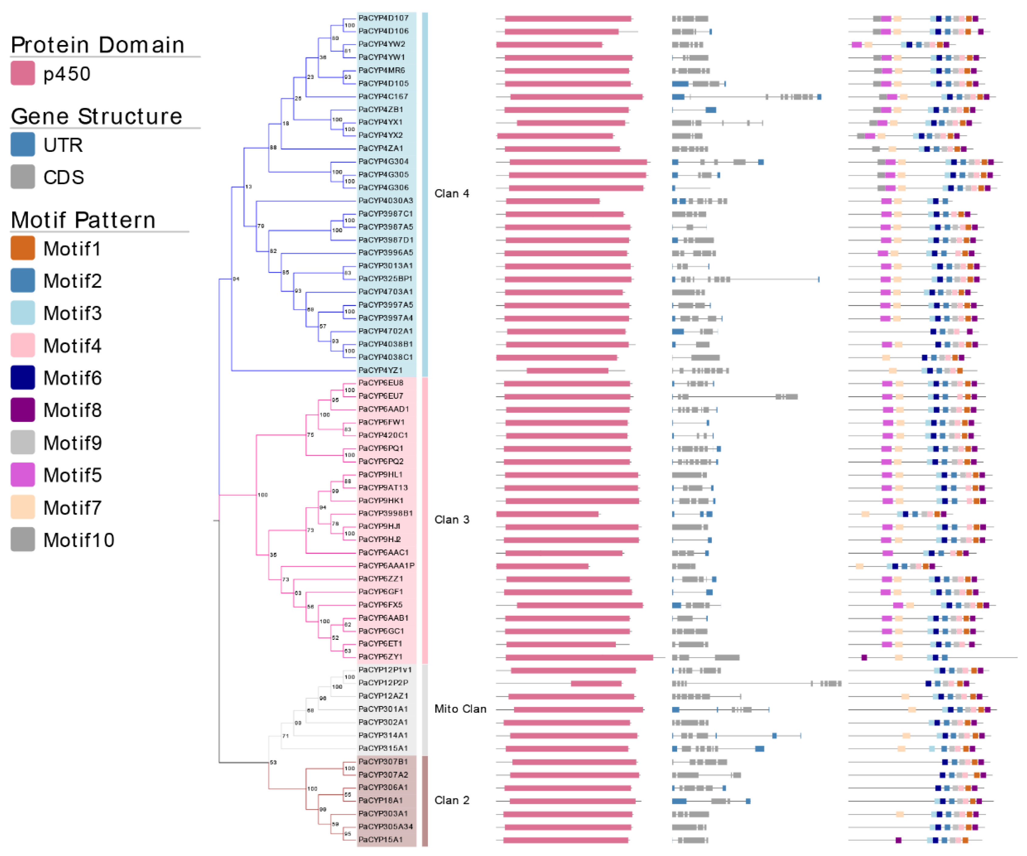 Insects 13 00765 g003