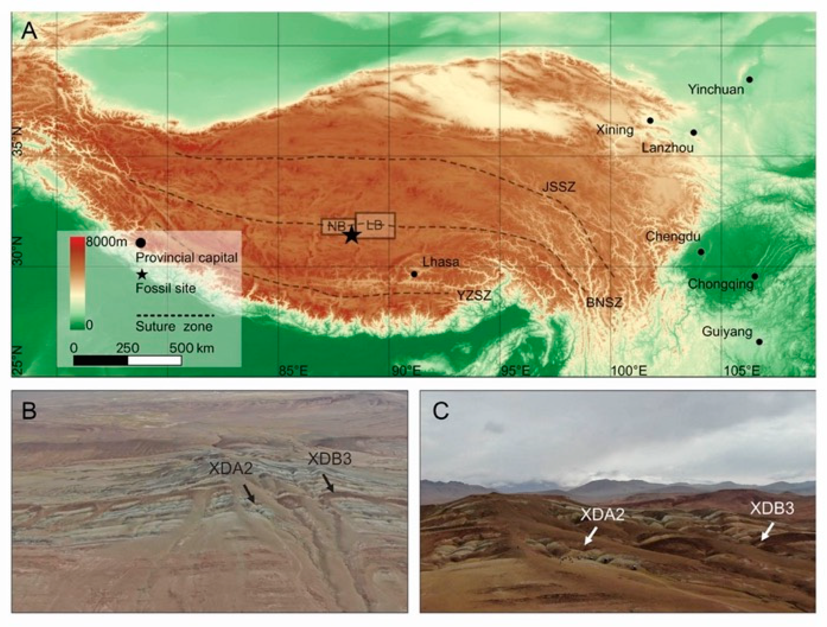 Insects 13 00770 g001