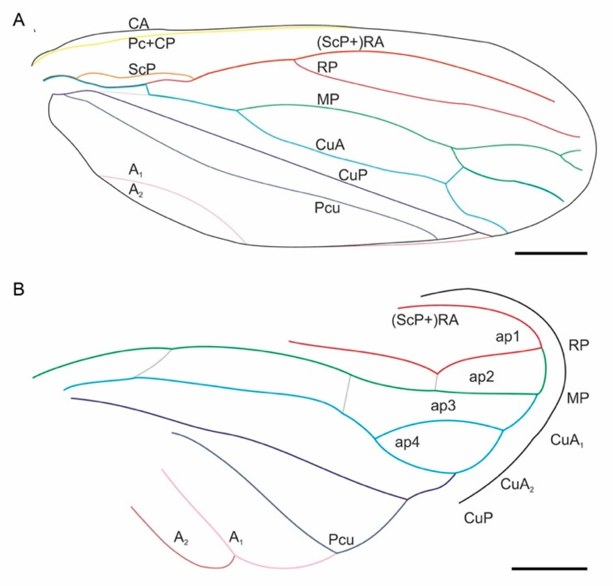 Insects 13 00770 g004