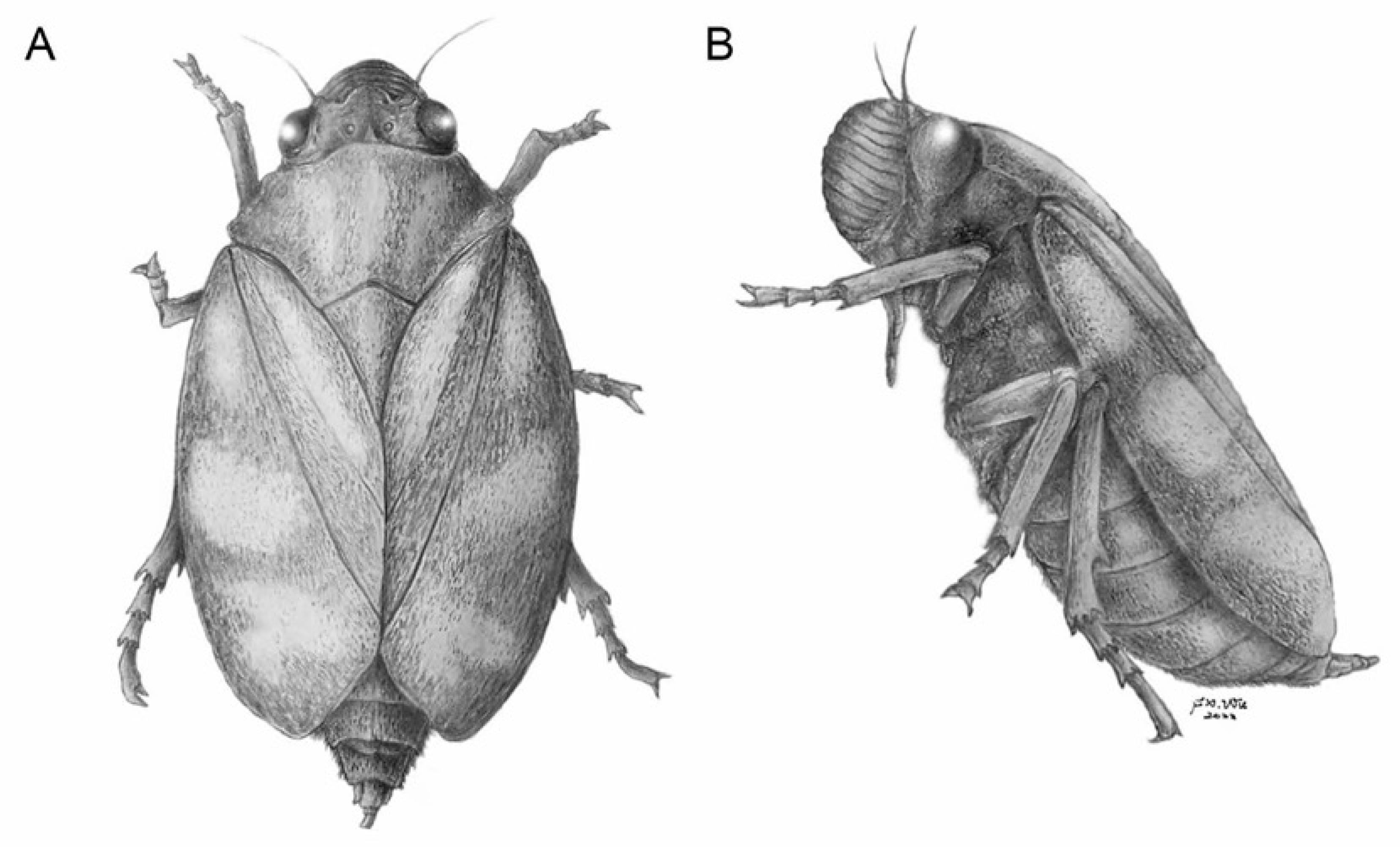 Insects 13 00770 g006
