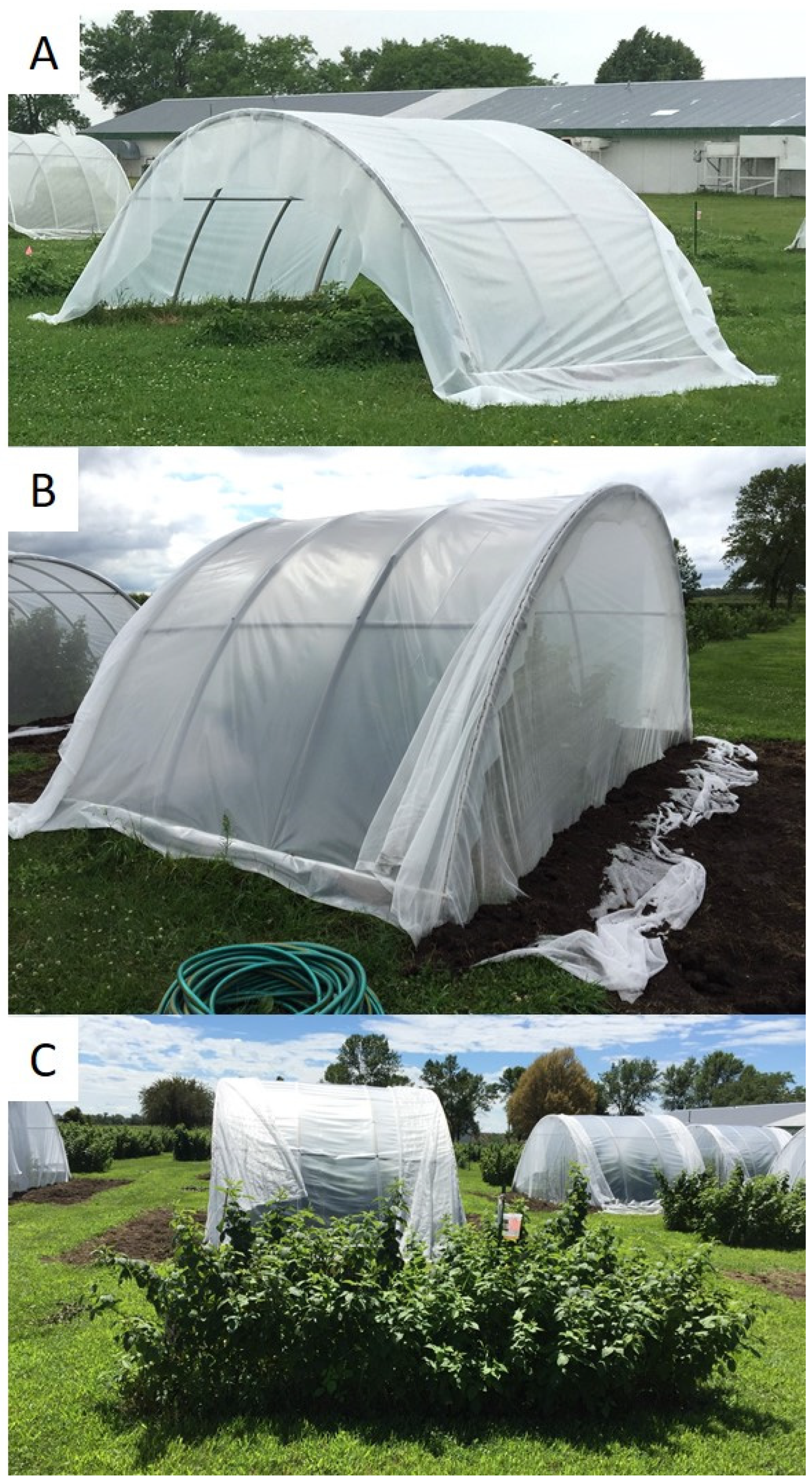 Insects 13 00771 g002