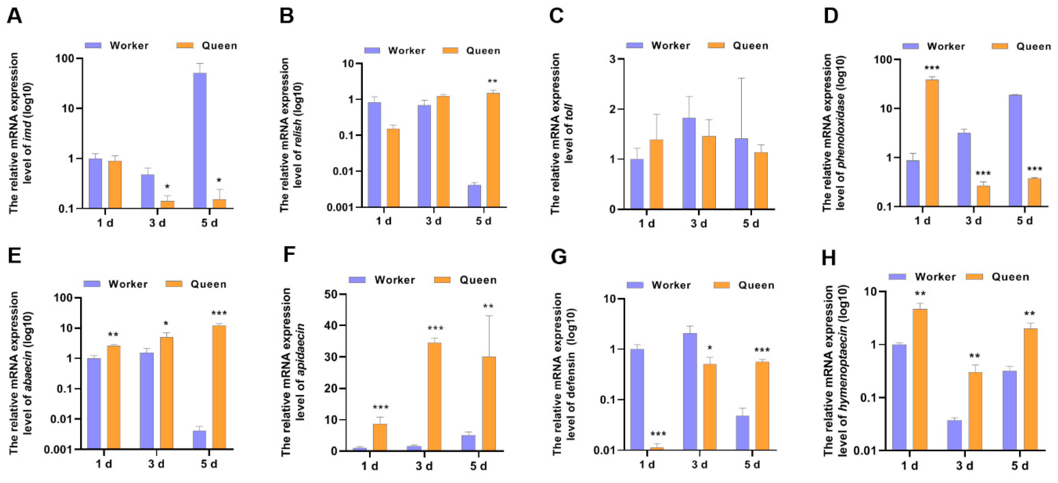 Insects 13 00772 g002