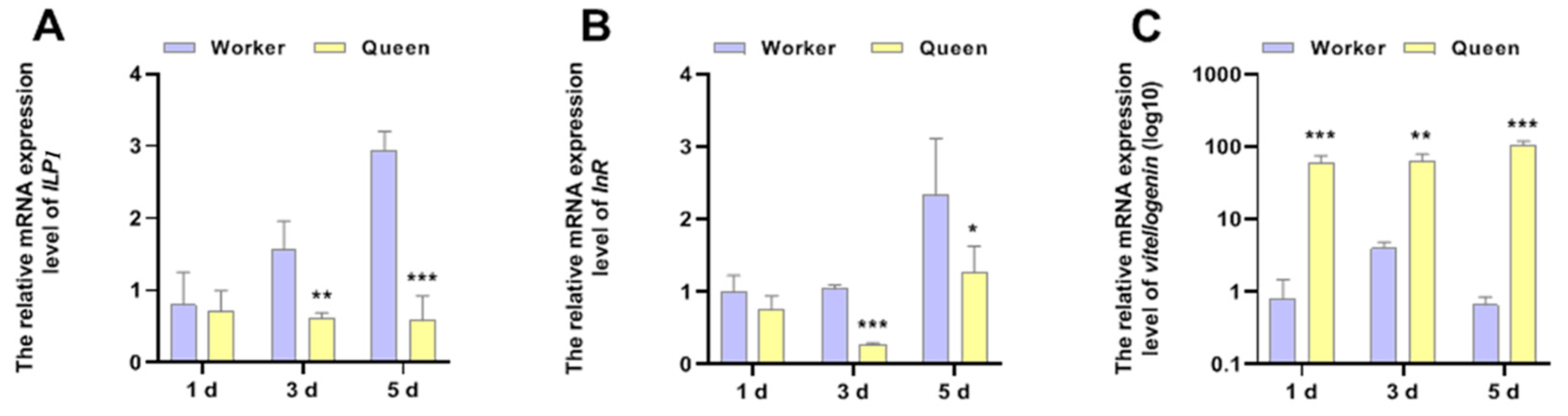 Insects 13 00772 g003