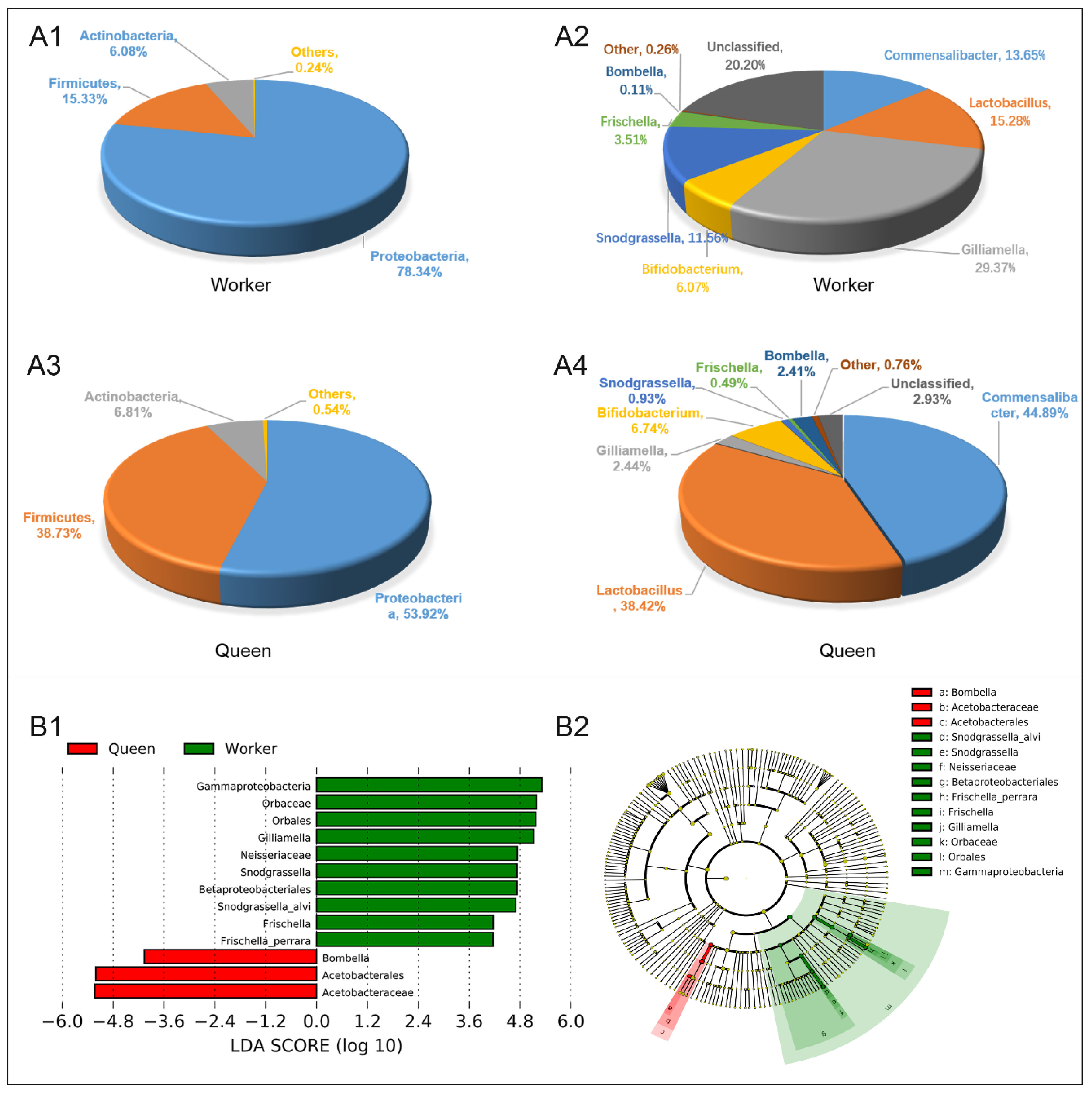 Insects 13 00772 g004