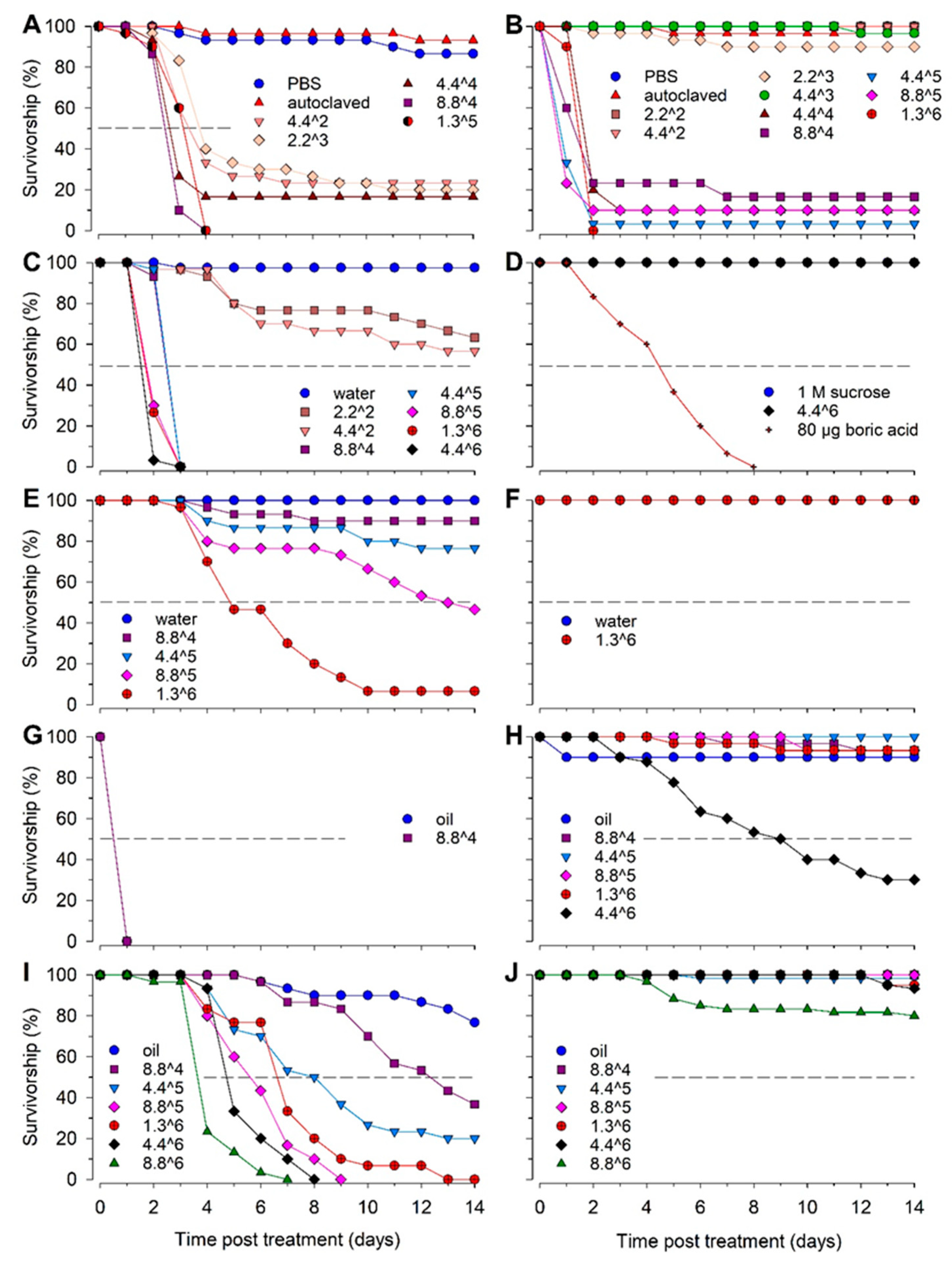 Insects 13 00774 g001