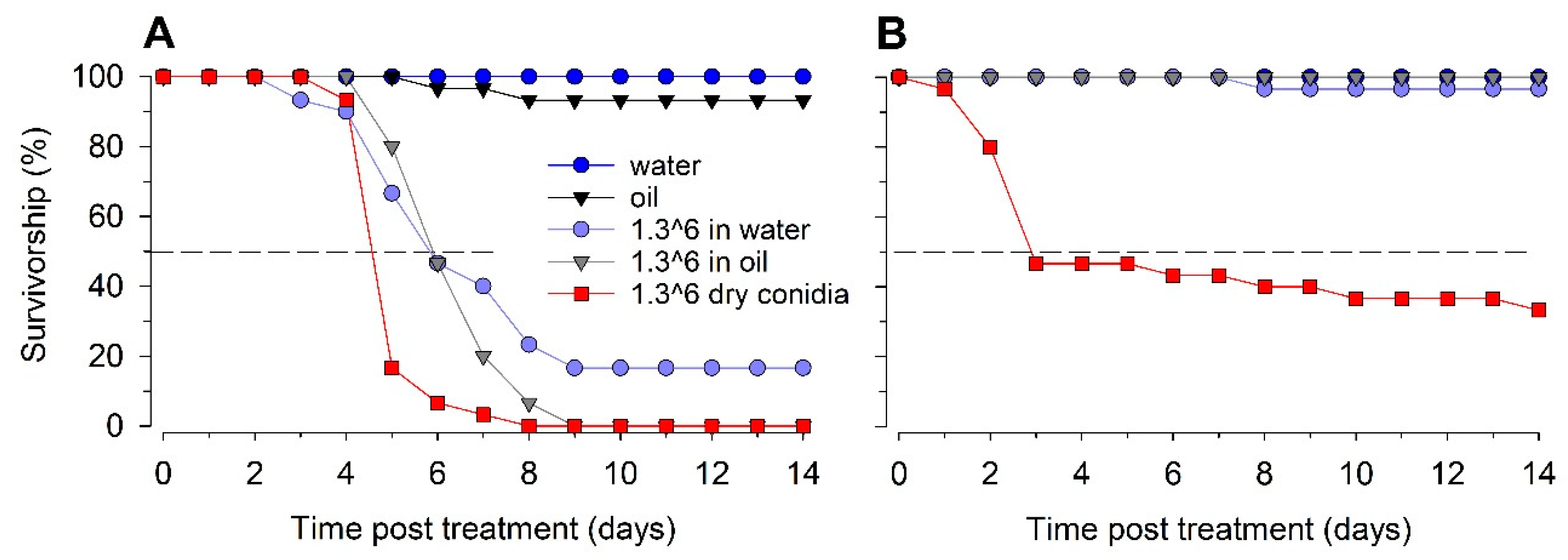 Insects 13 00774 g002