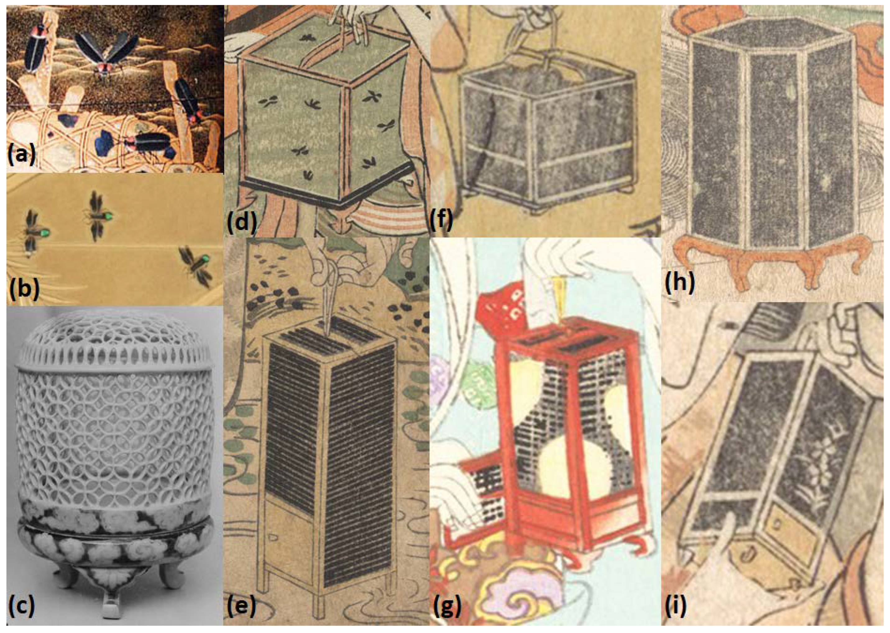 Insects 13 00775 g008