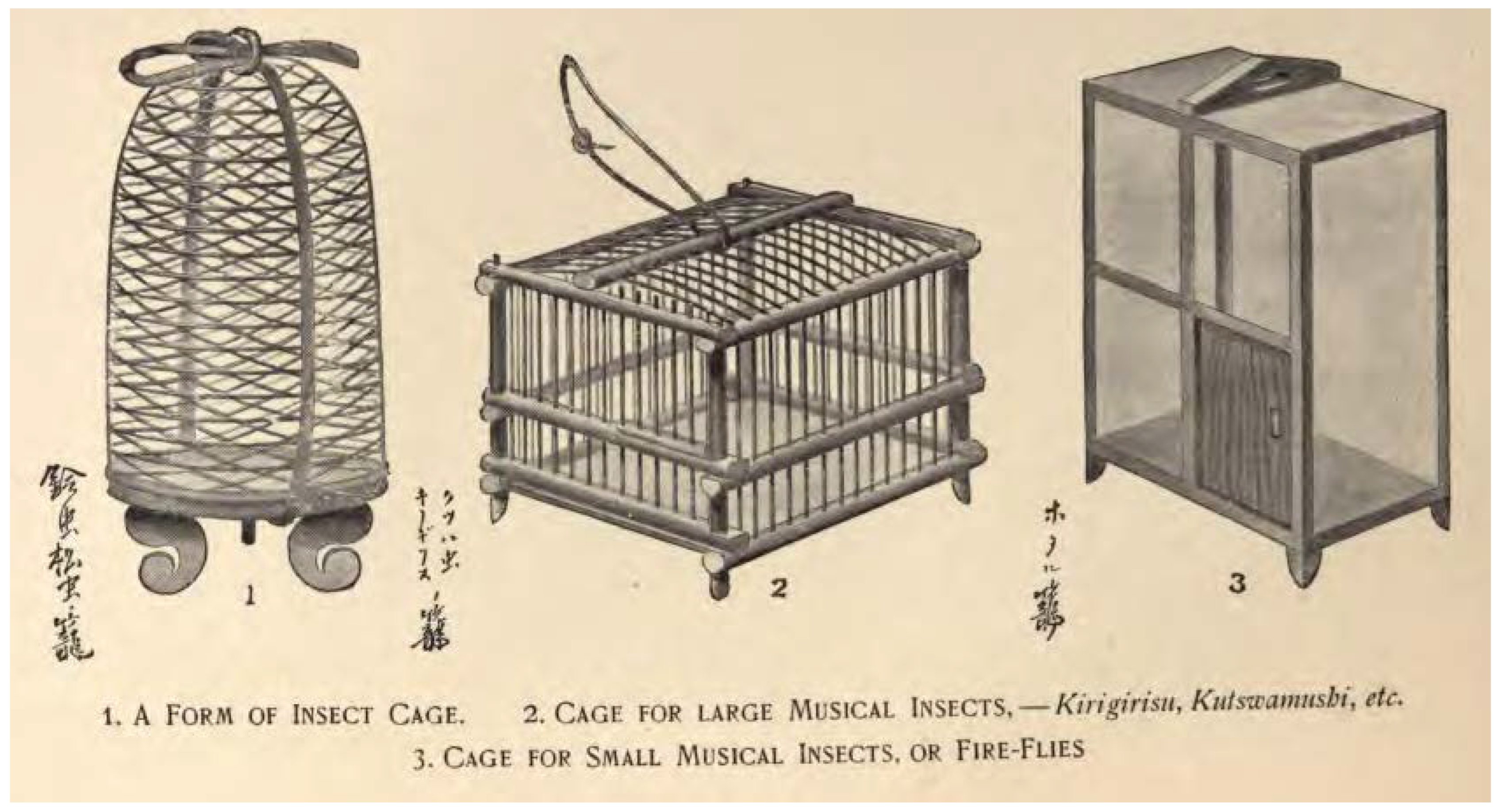 Insects 13 00775 g009