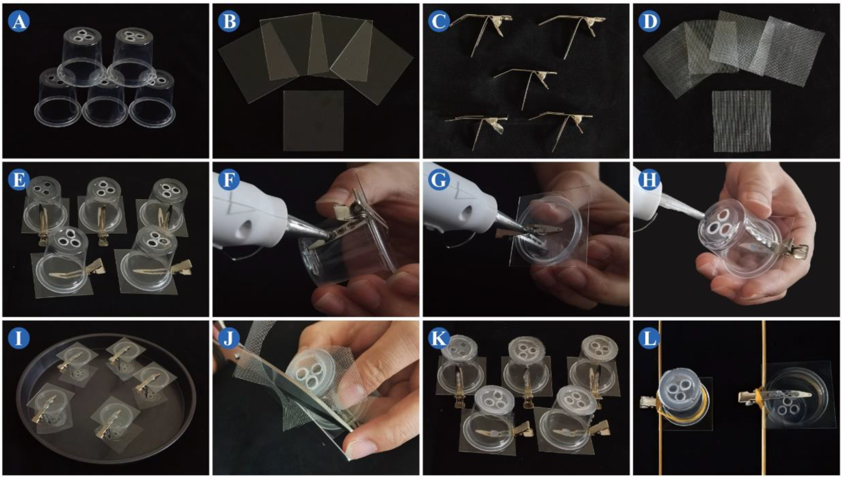 Insects 13 00777 g001