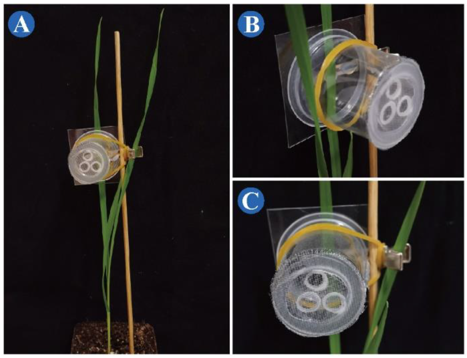 Insects 13 00777 g003