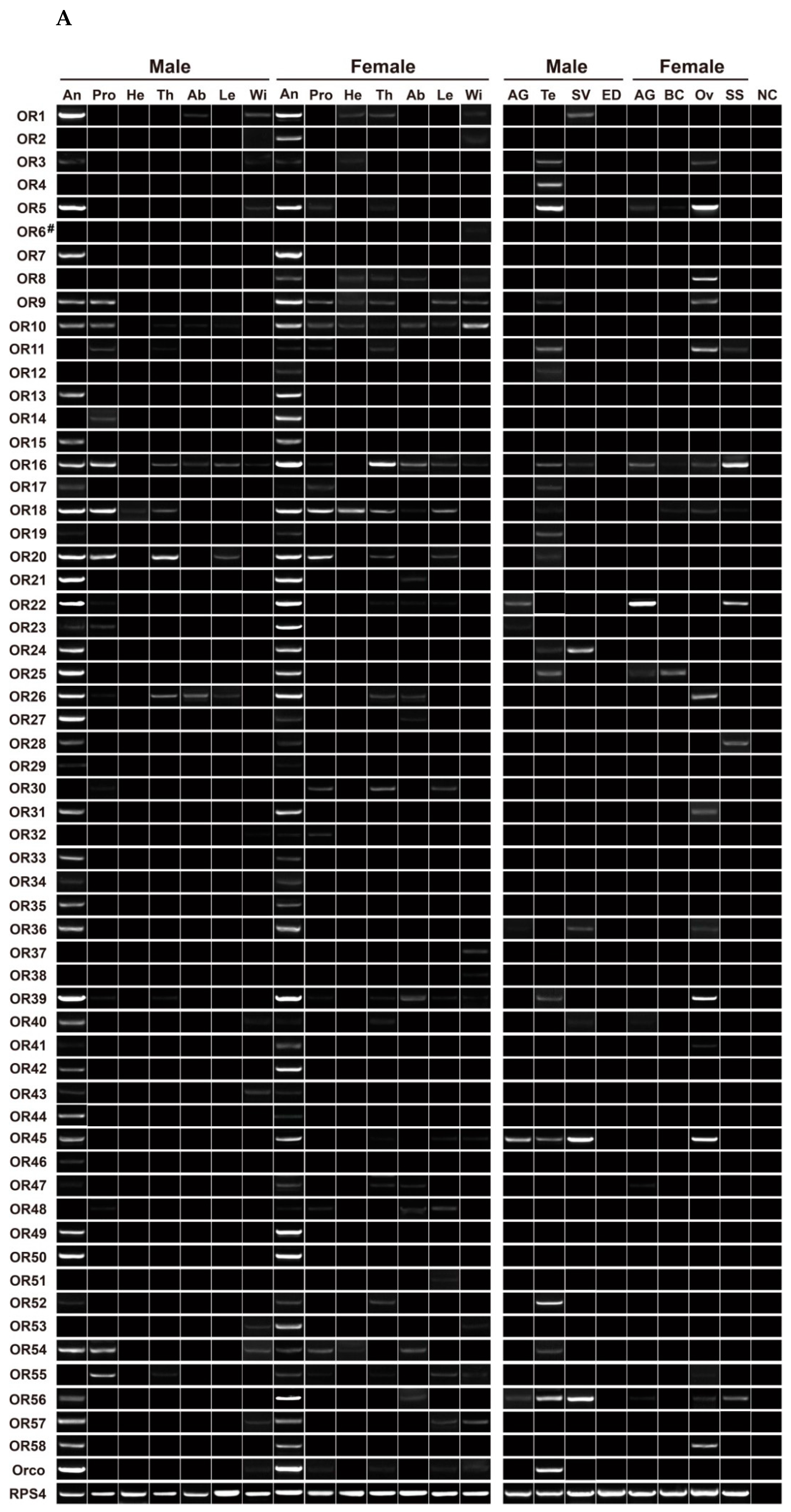 Insects 13 00779 g007a