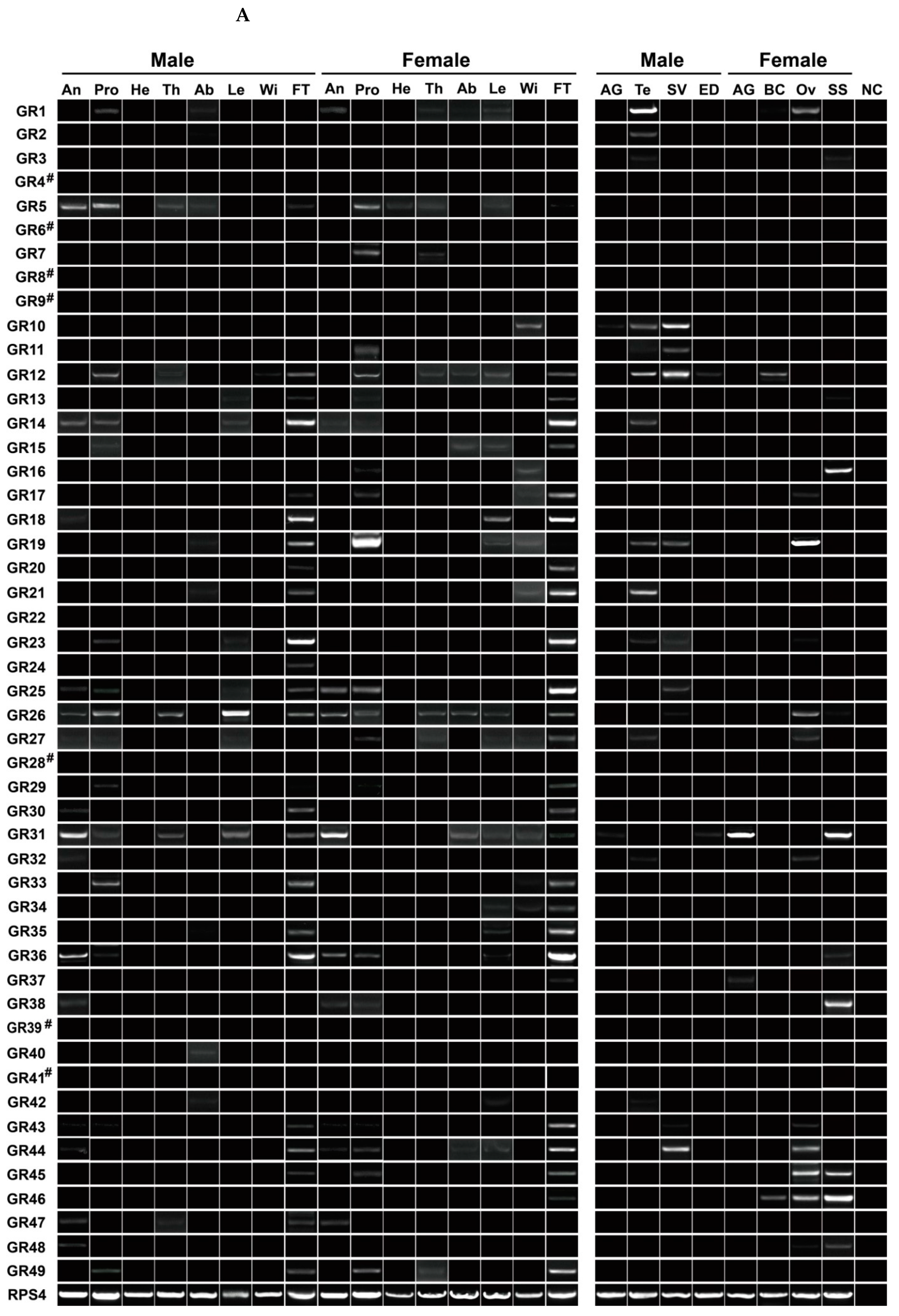 Insects 13 00779 g008a