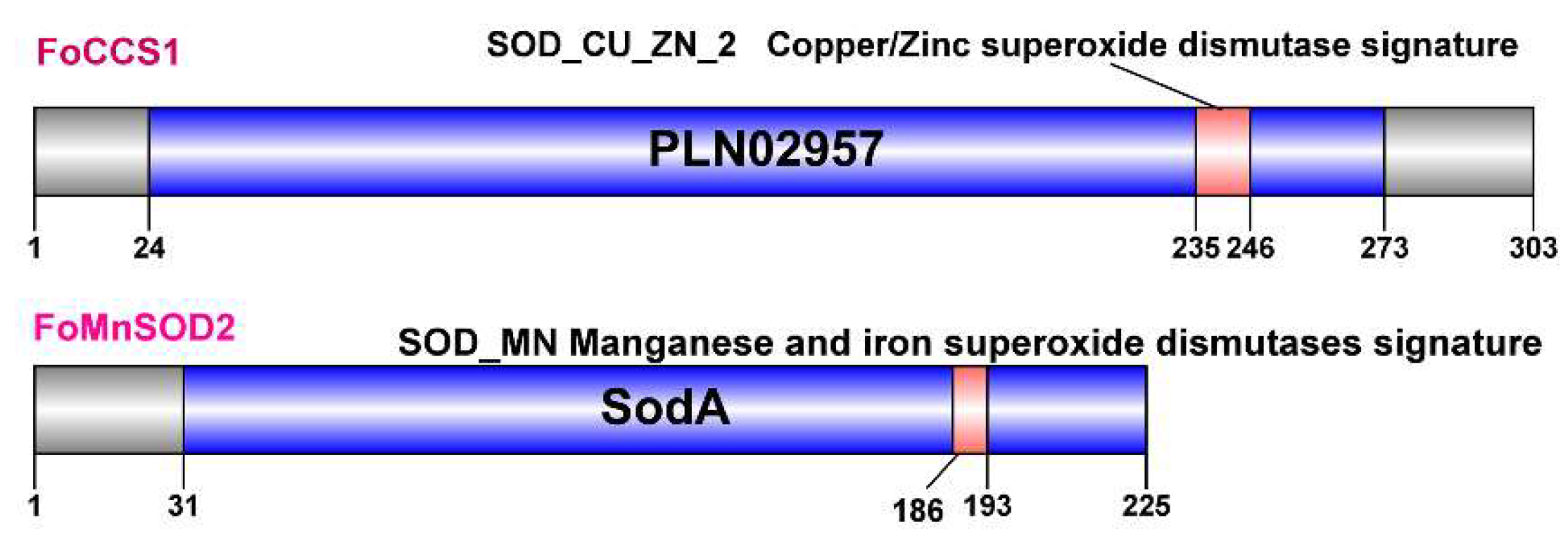 Insects 13 00782 g001