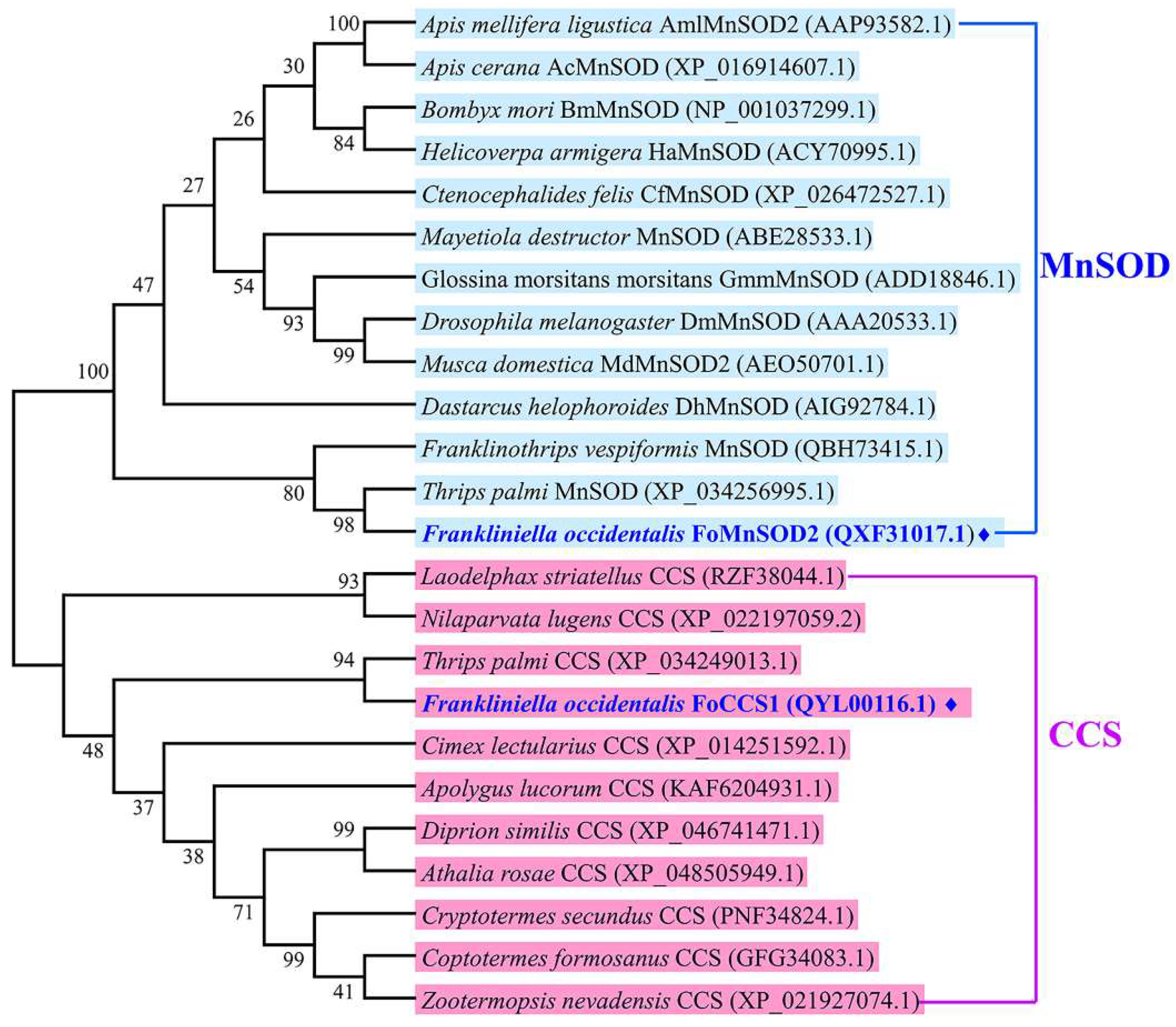 Insects 13 00782 g002