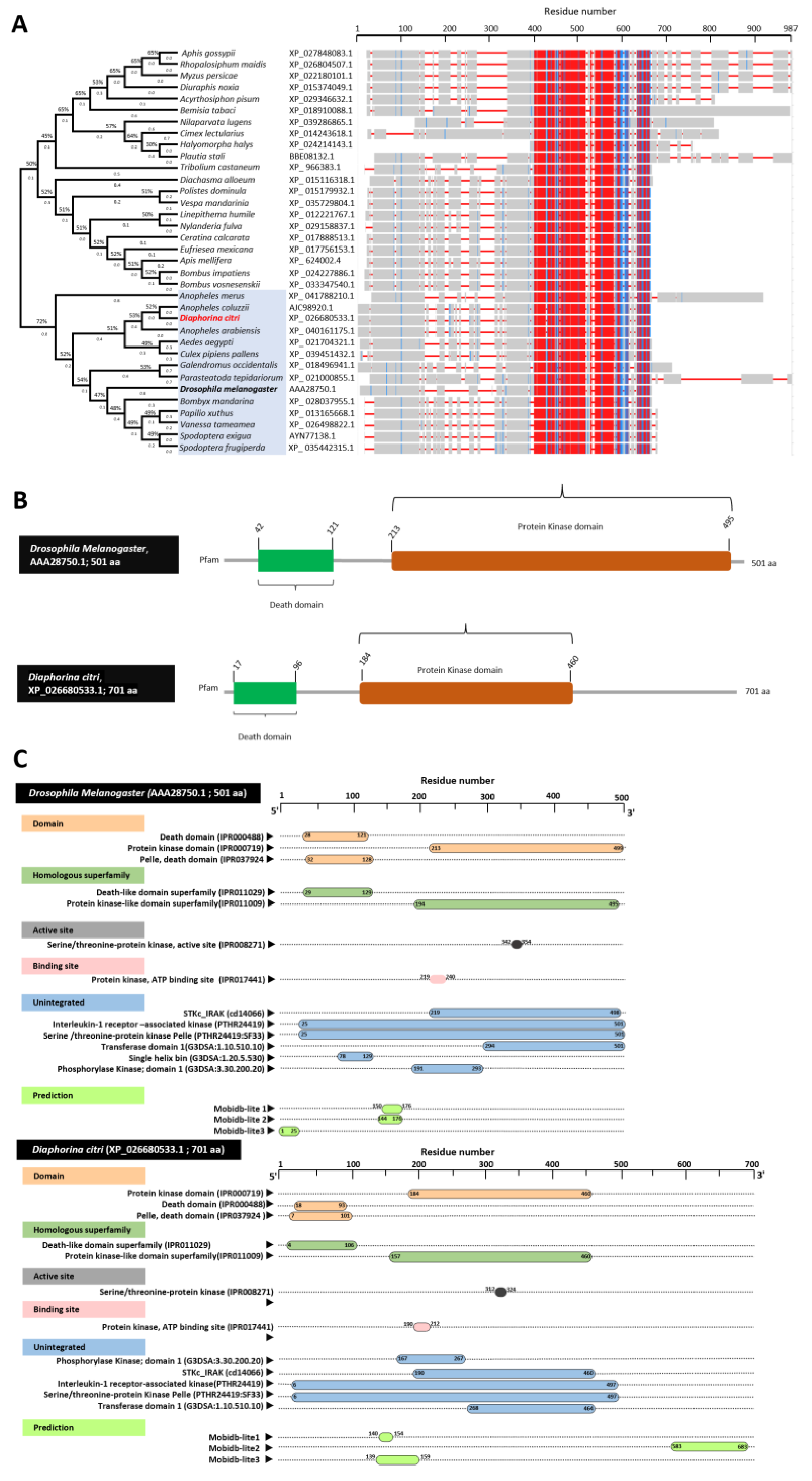 Insects 13 00783 g001 Insects 13 00783 g001