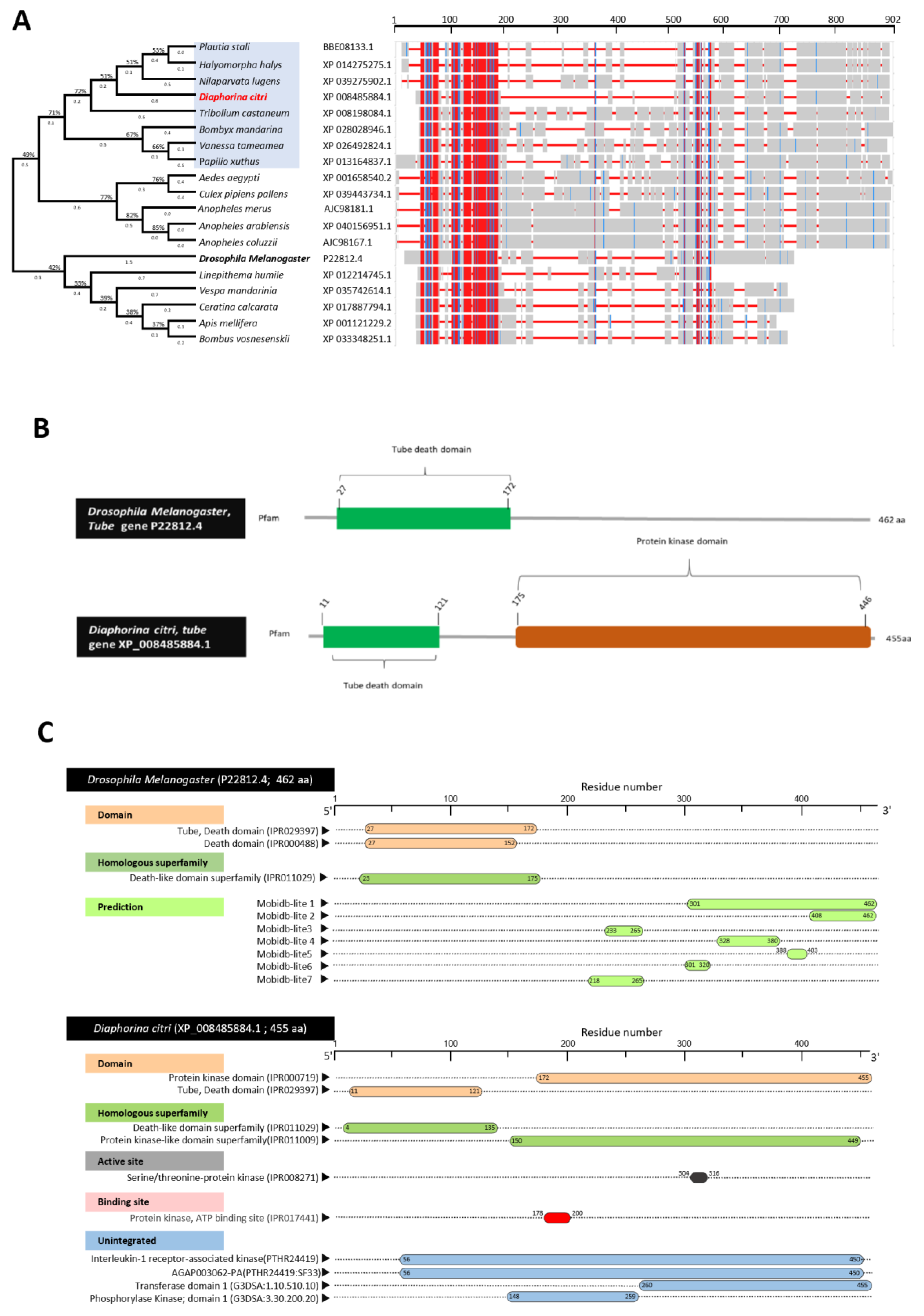 Insects 13 00783 g003 Insects 13 00783 g003