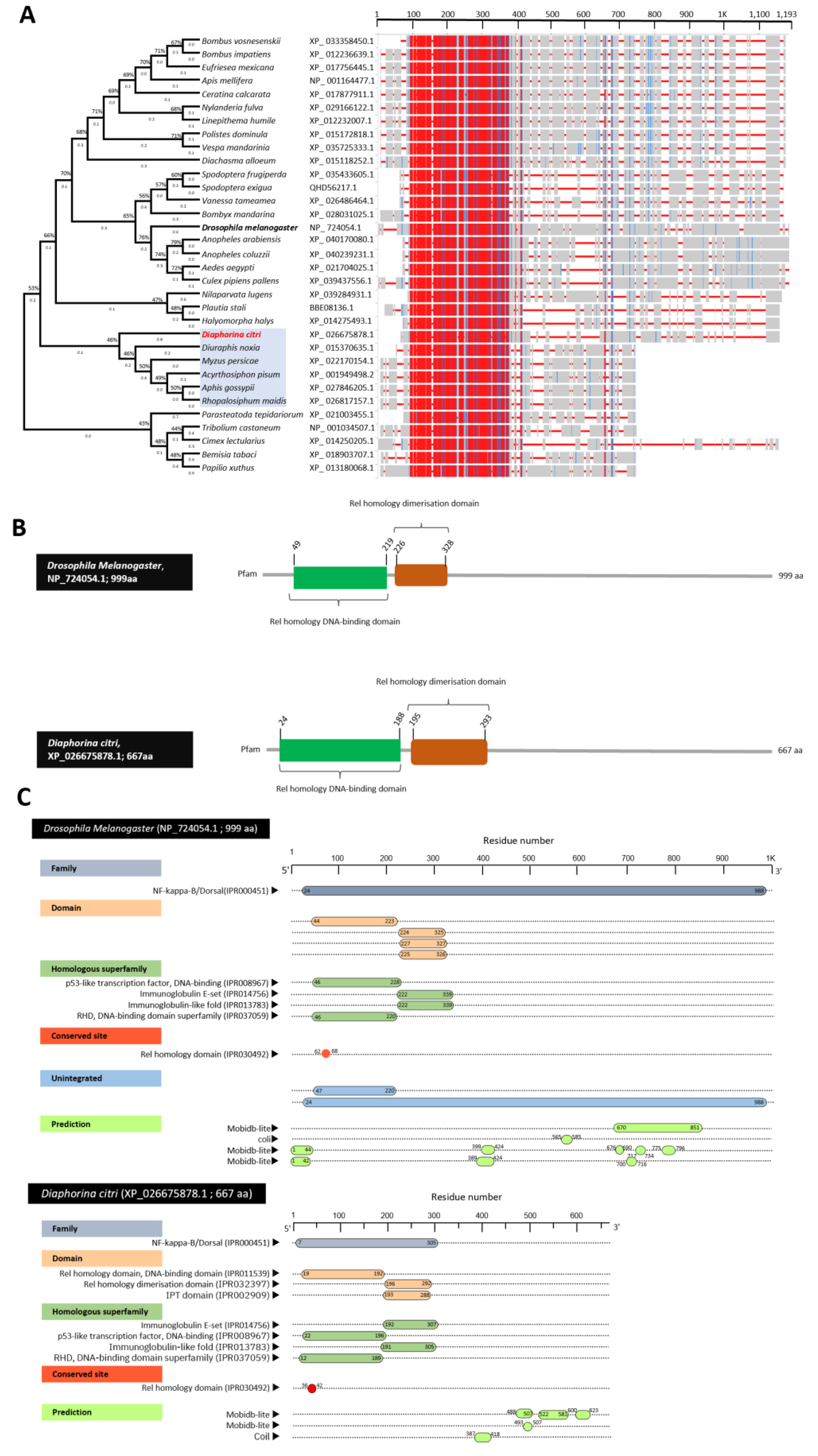 Insects 13 00783 g005 Insects 13 00783 g005