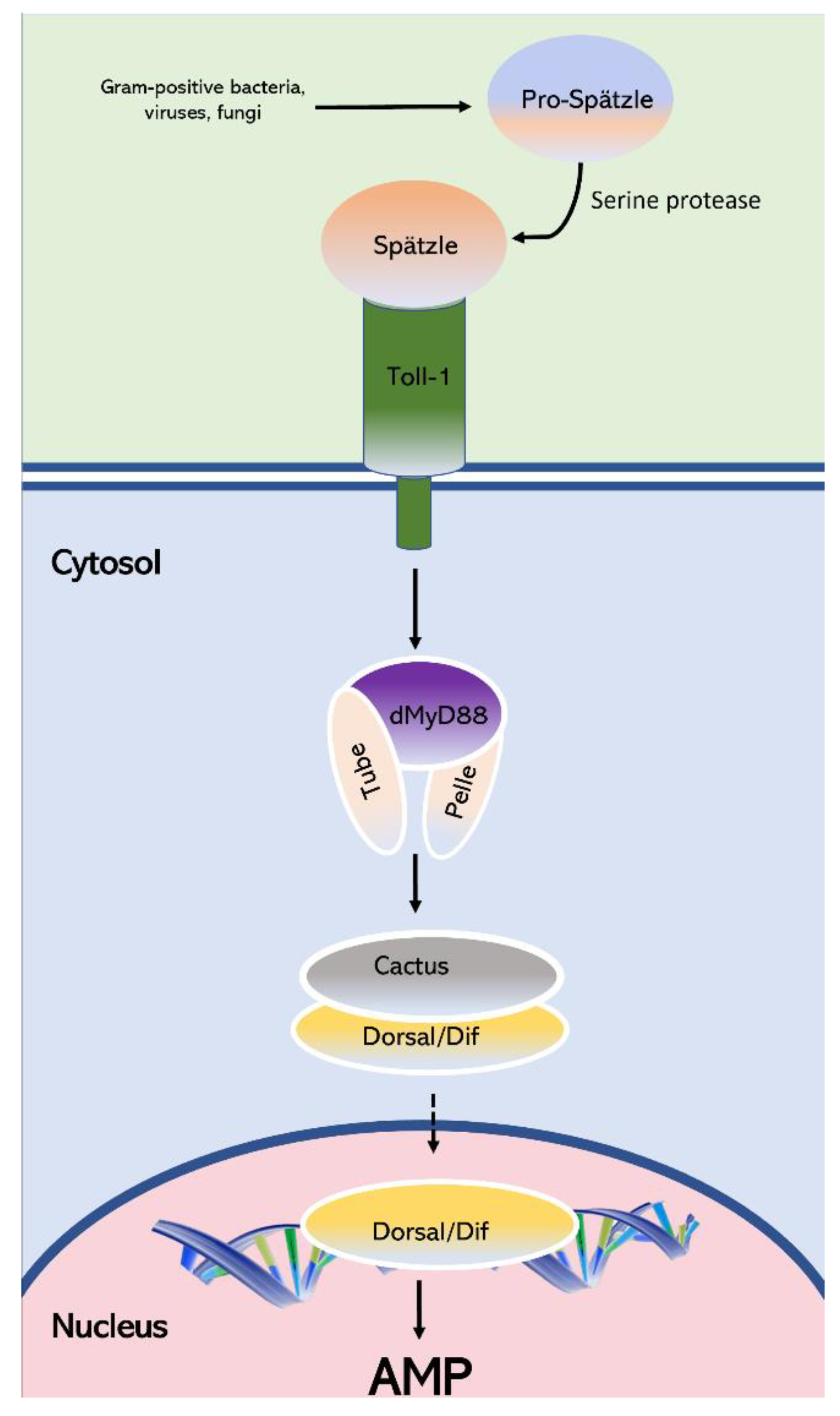 Insects 13 00783 g009 Insects 13 00783 g009