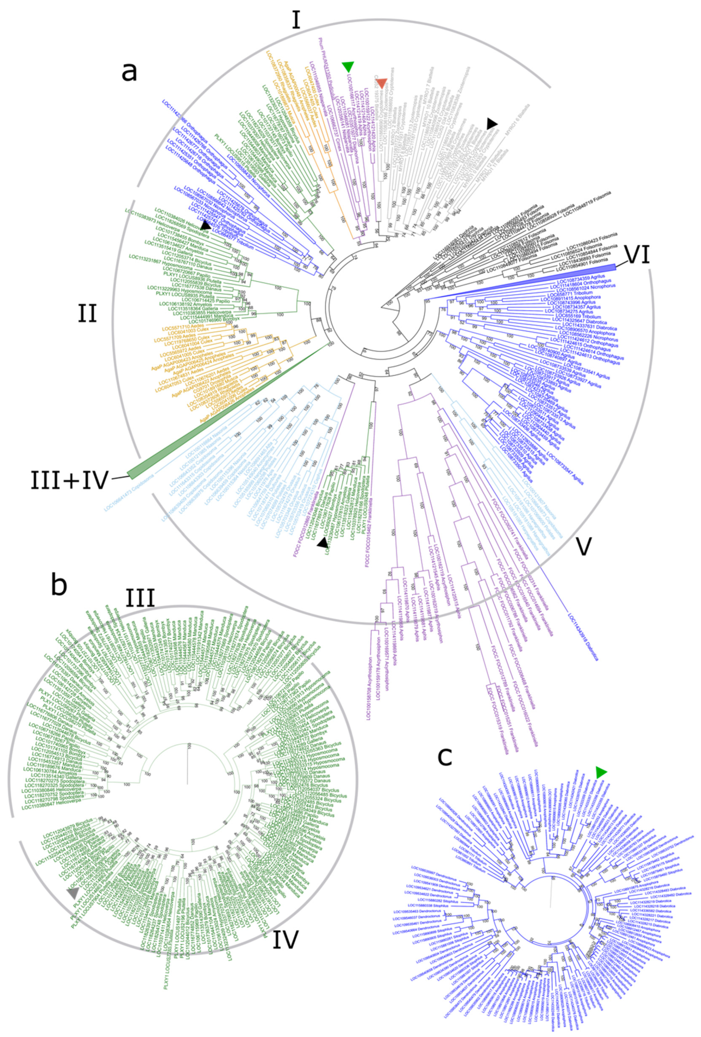 Insects 13 00786 g004