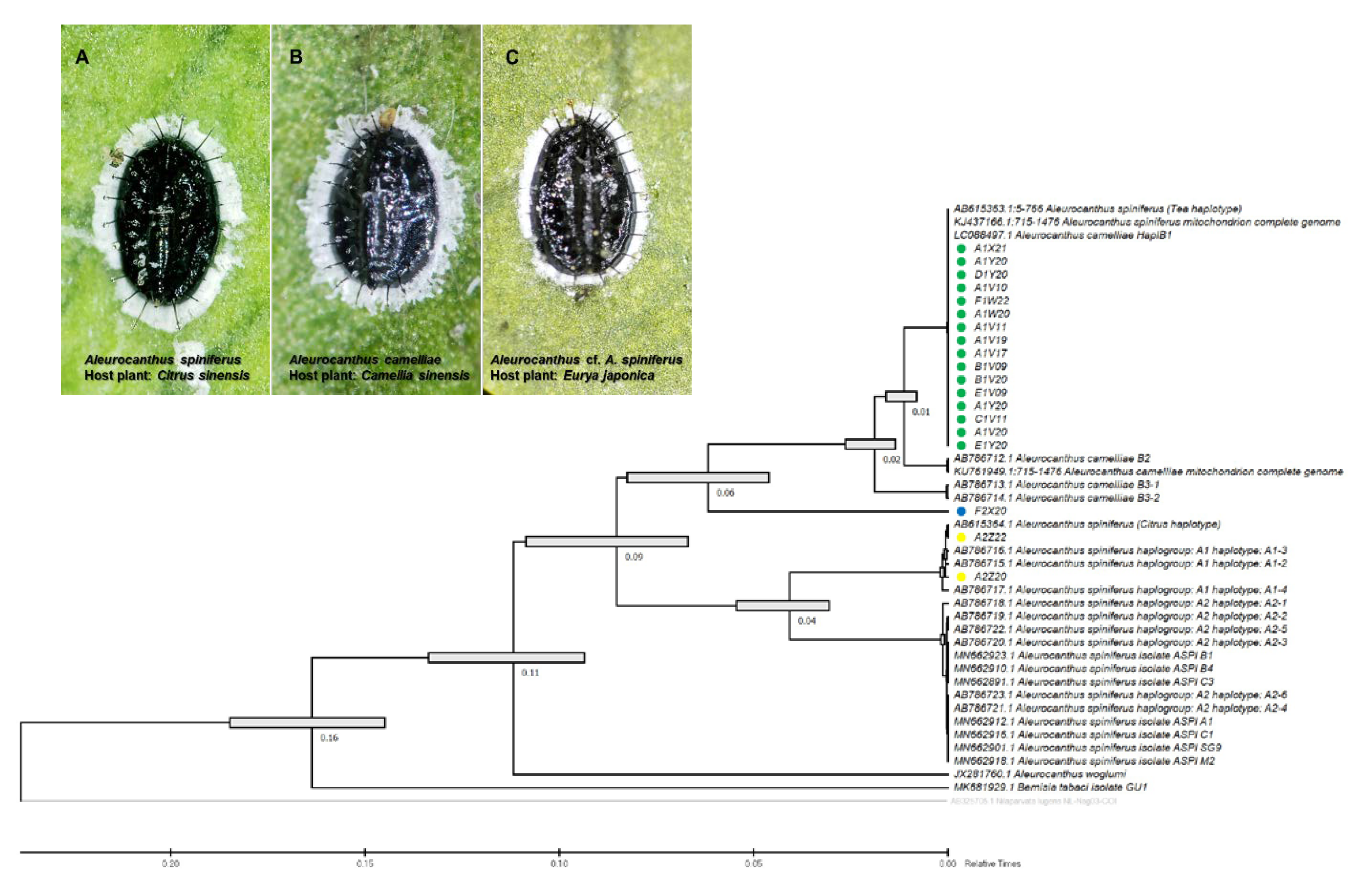 Insects 13 00788 g002 Insects 13 00788 g002