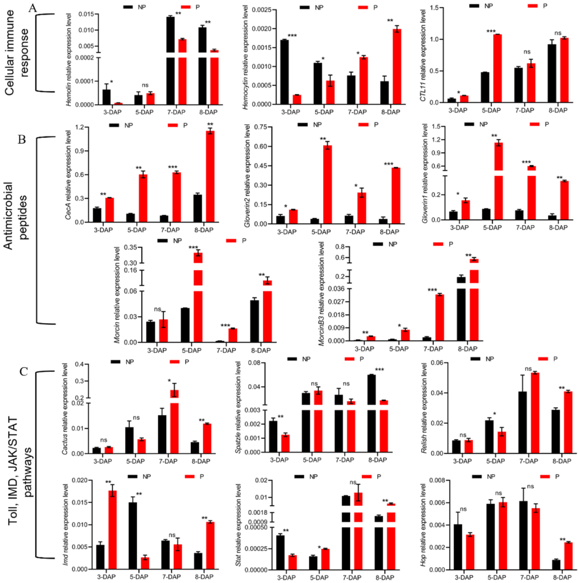 Insects 13 00792 g004