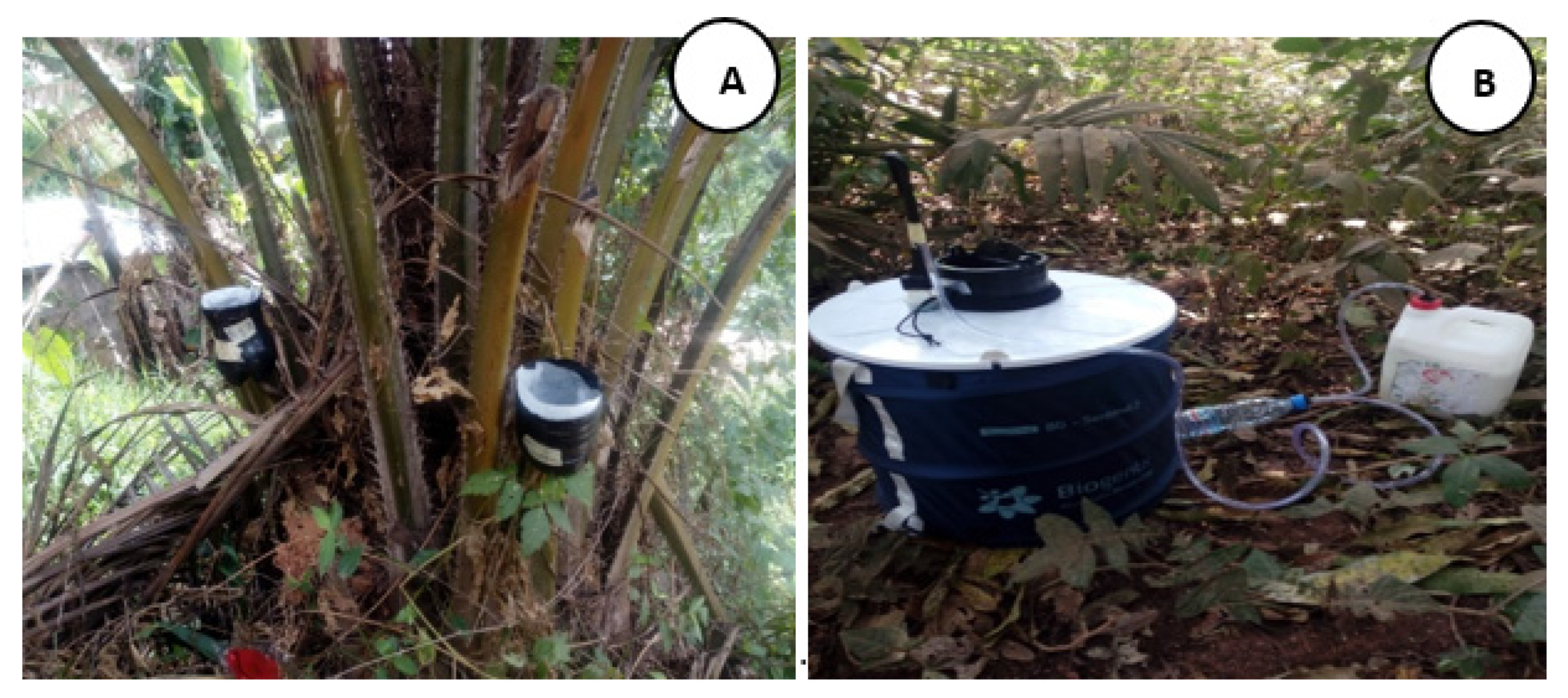 Insects 13 00793 g002