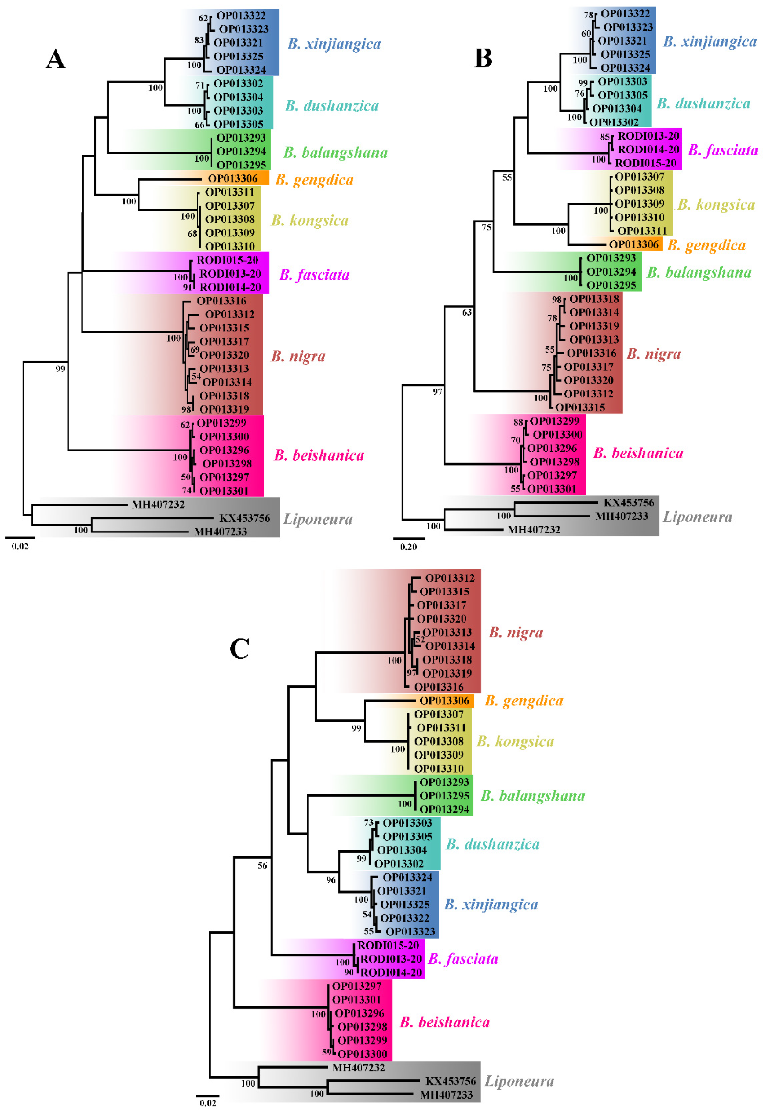 Insects 13 00794 g001