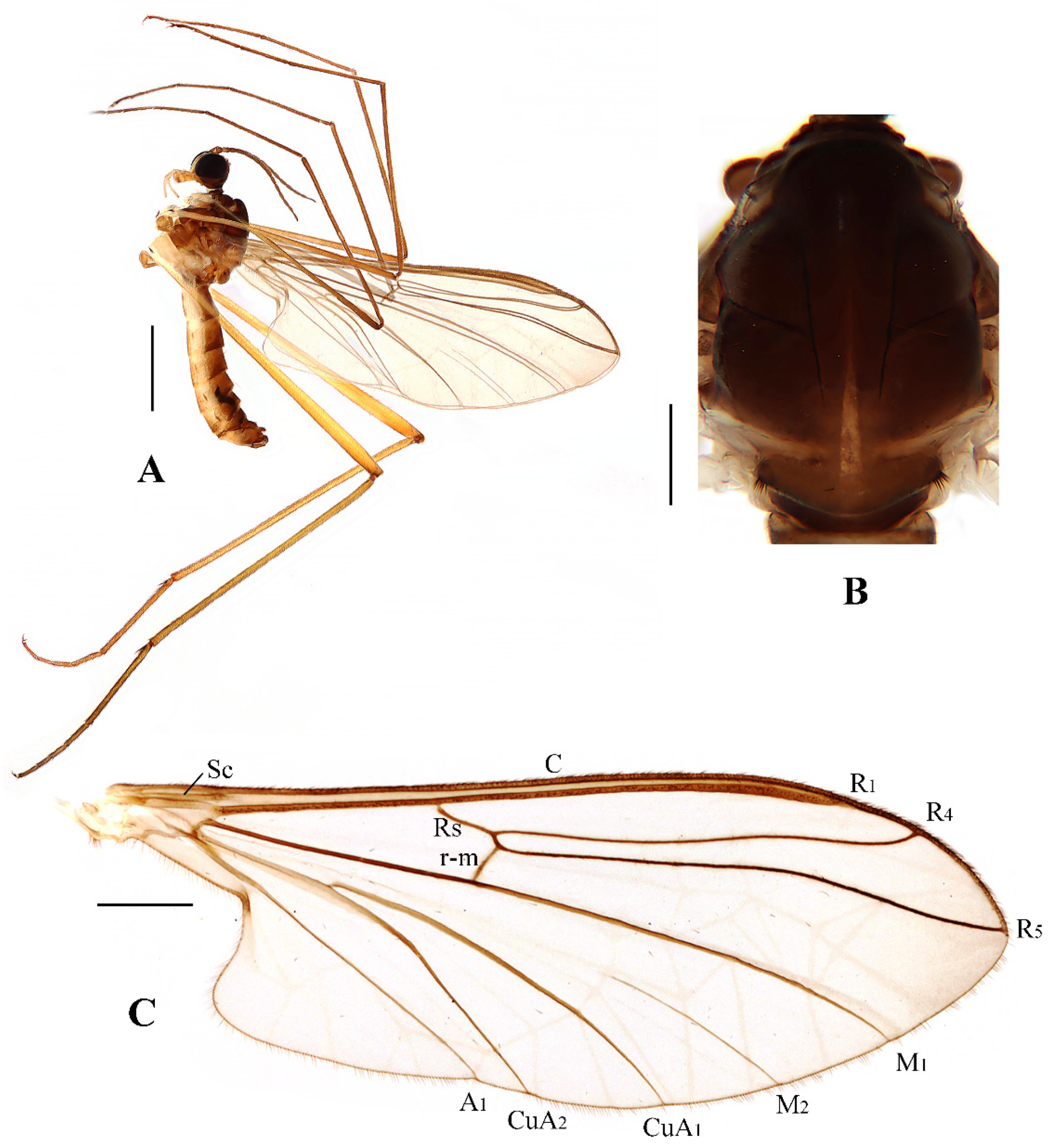 Insects 13 00794 g002