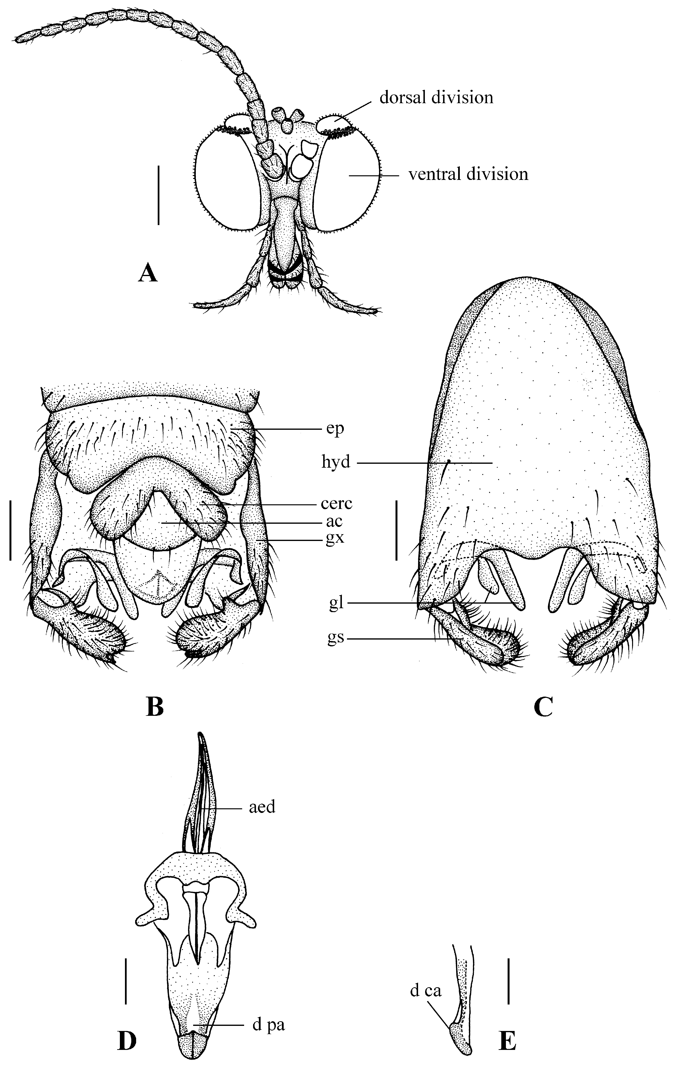 Insects 13 00794 g003