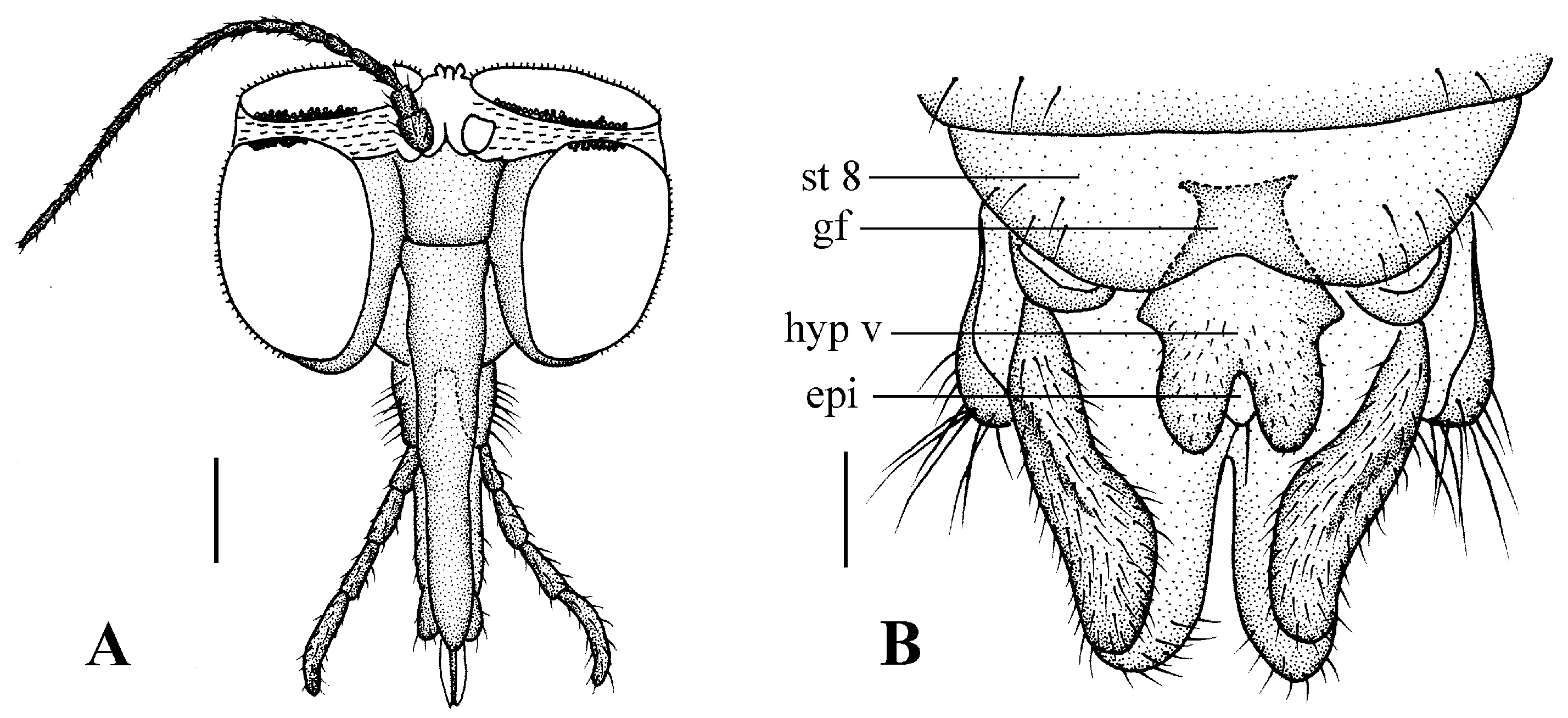 Insects 13 00794 g004