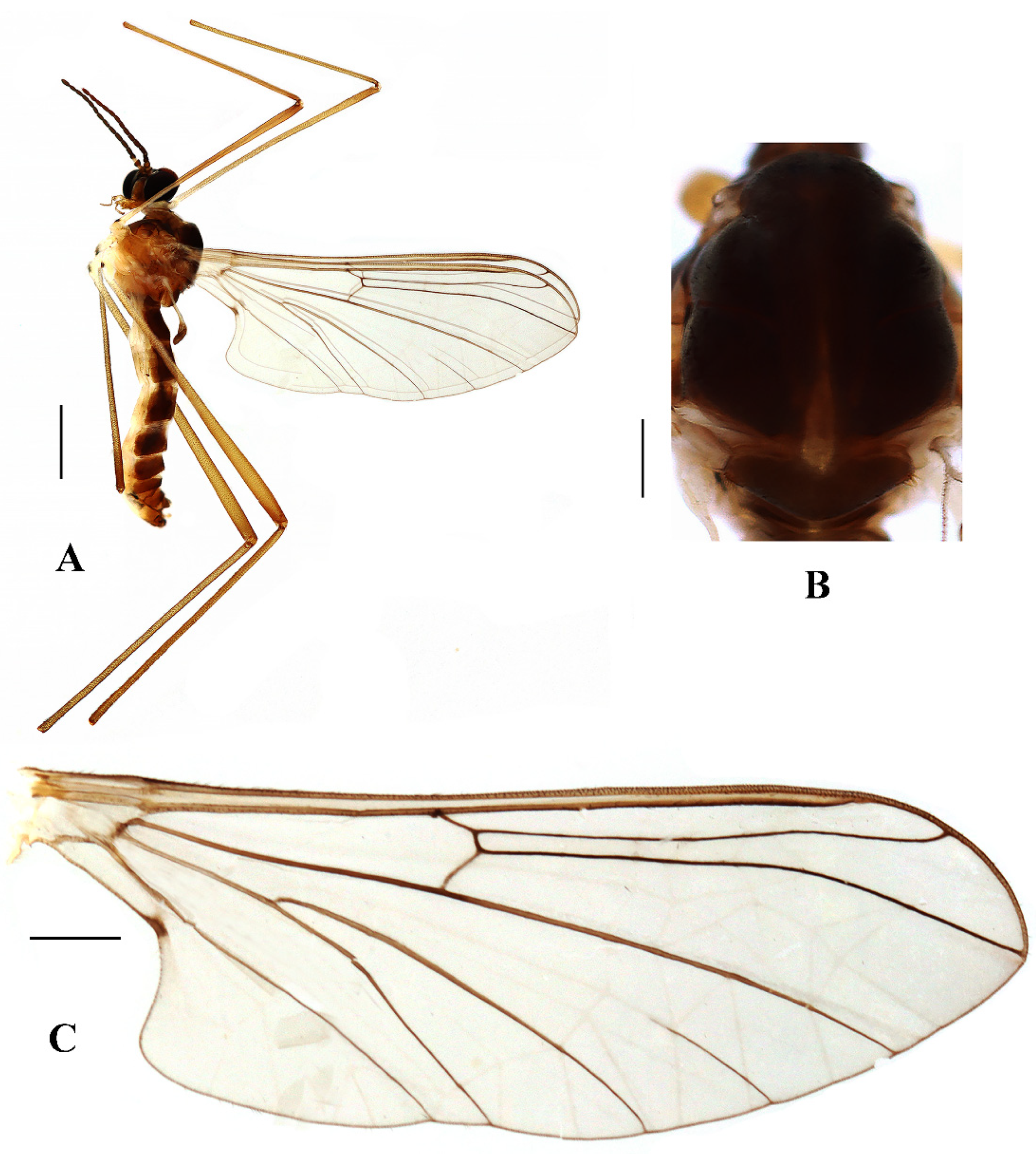 Insects 13 00794 g005