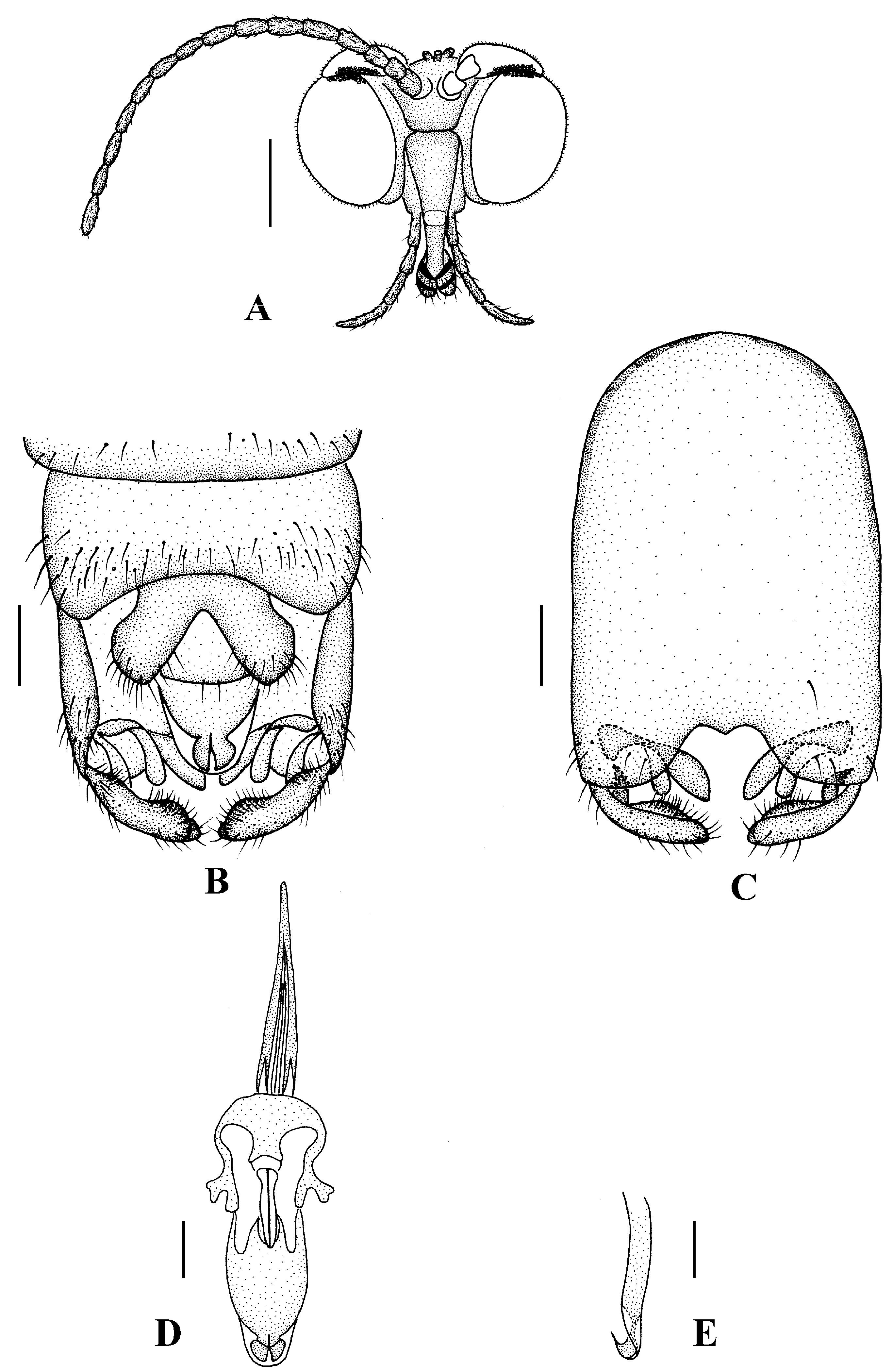 Insects 13 00794 g006