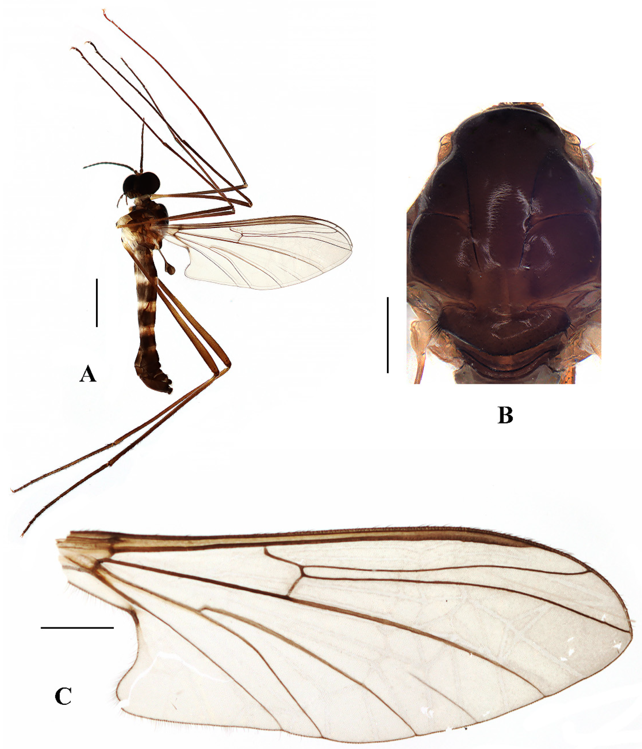 Insects 13 00794 g008