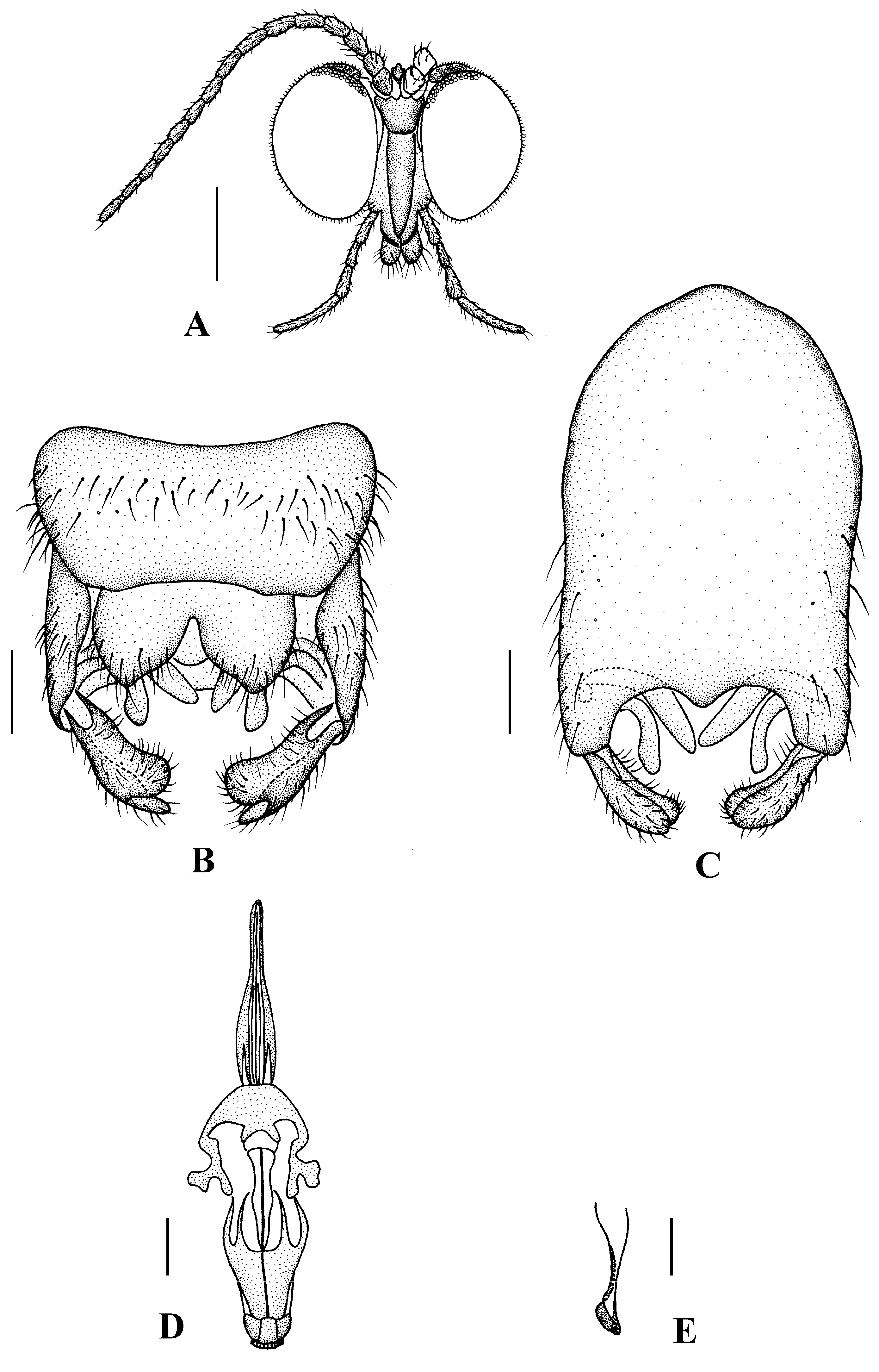 Insects 13 00794 g009