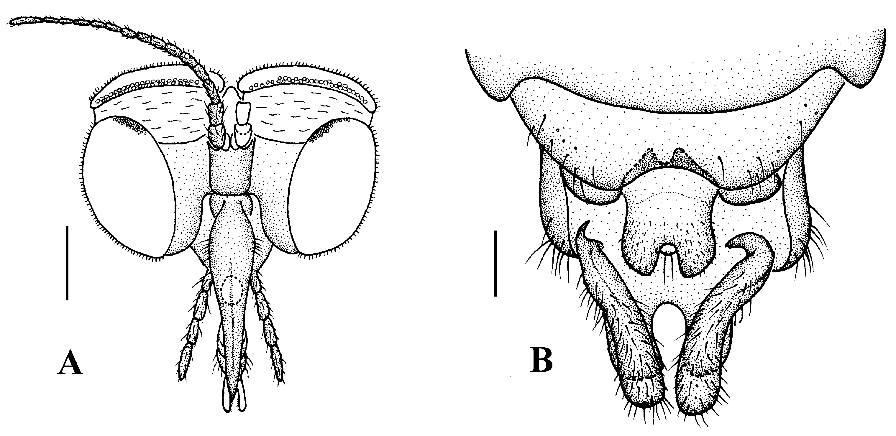 Insects 13 00794 g010