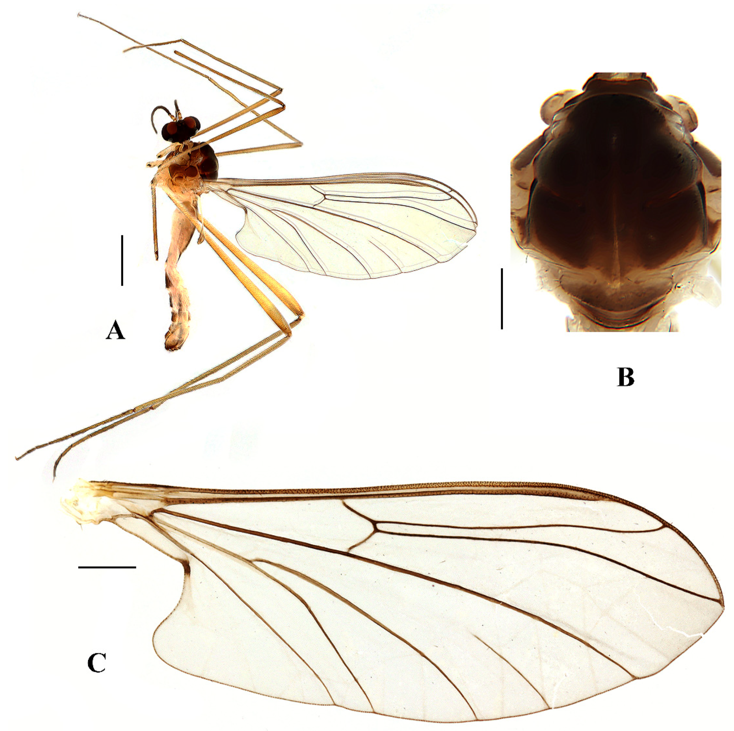 Insects 13 00794 g011