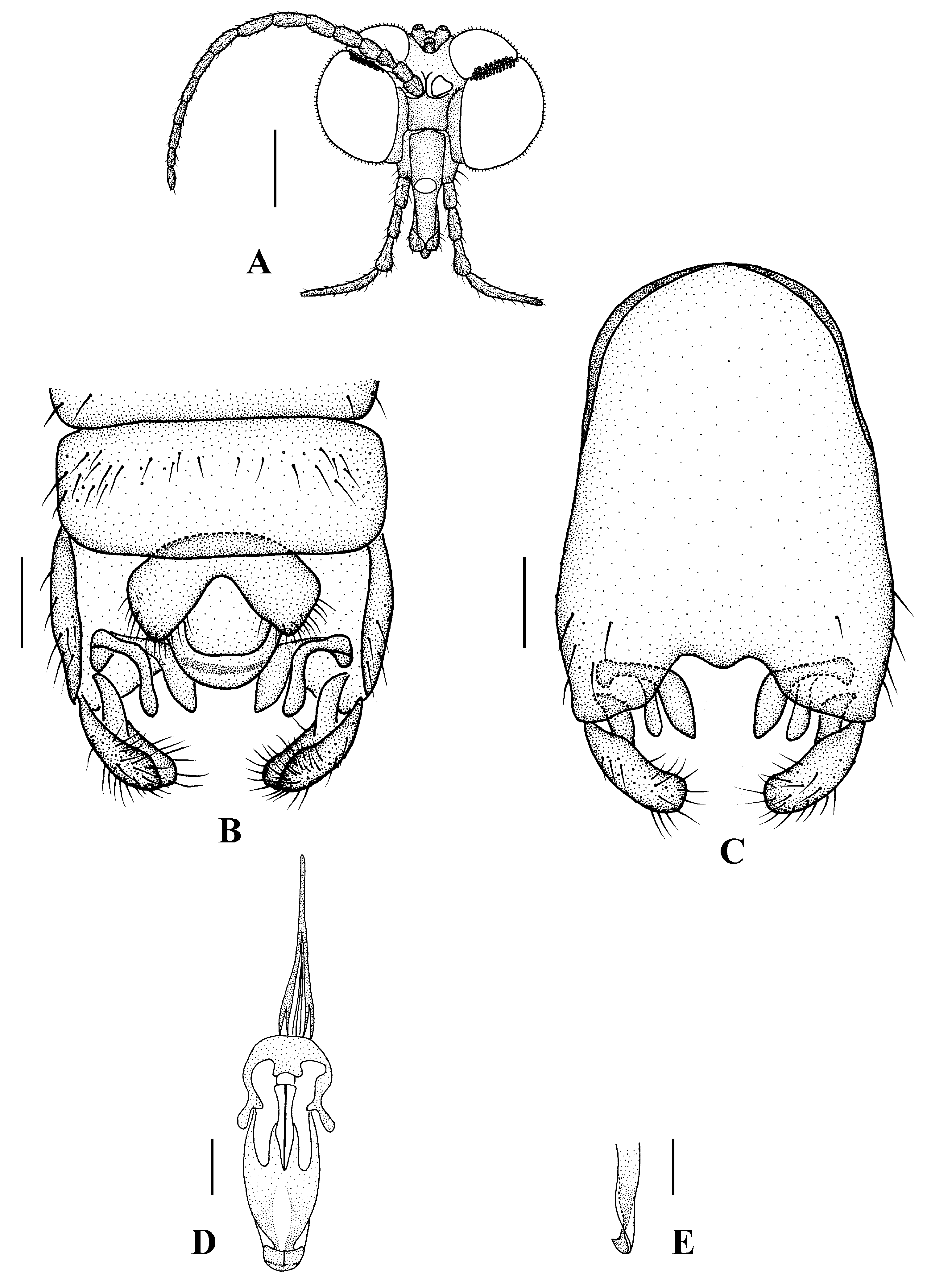 Insects 13 00794 g012