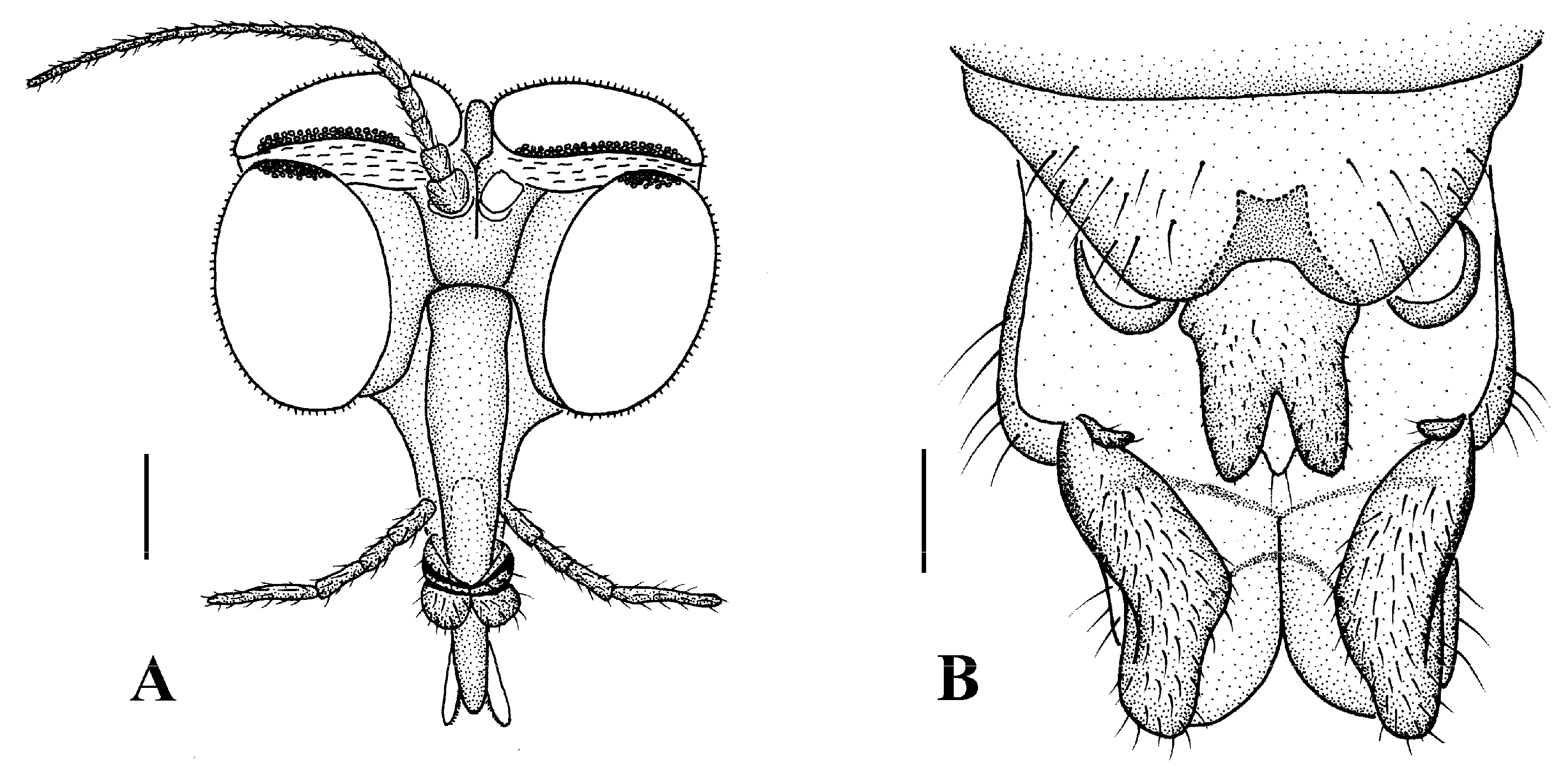 Insects 13 00794 g013
