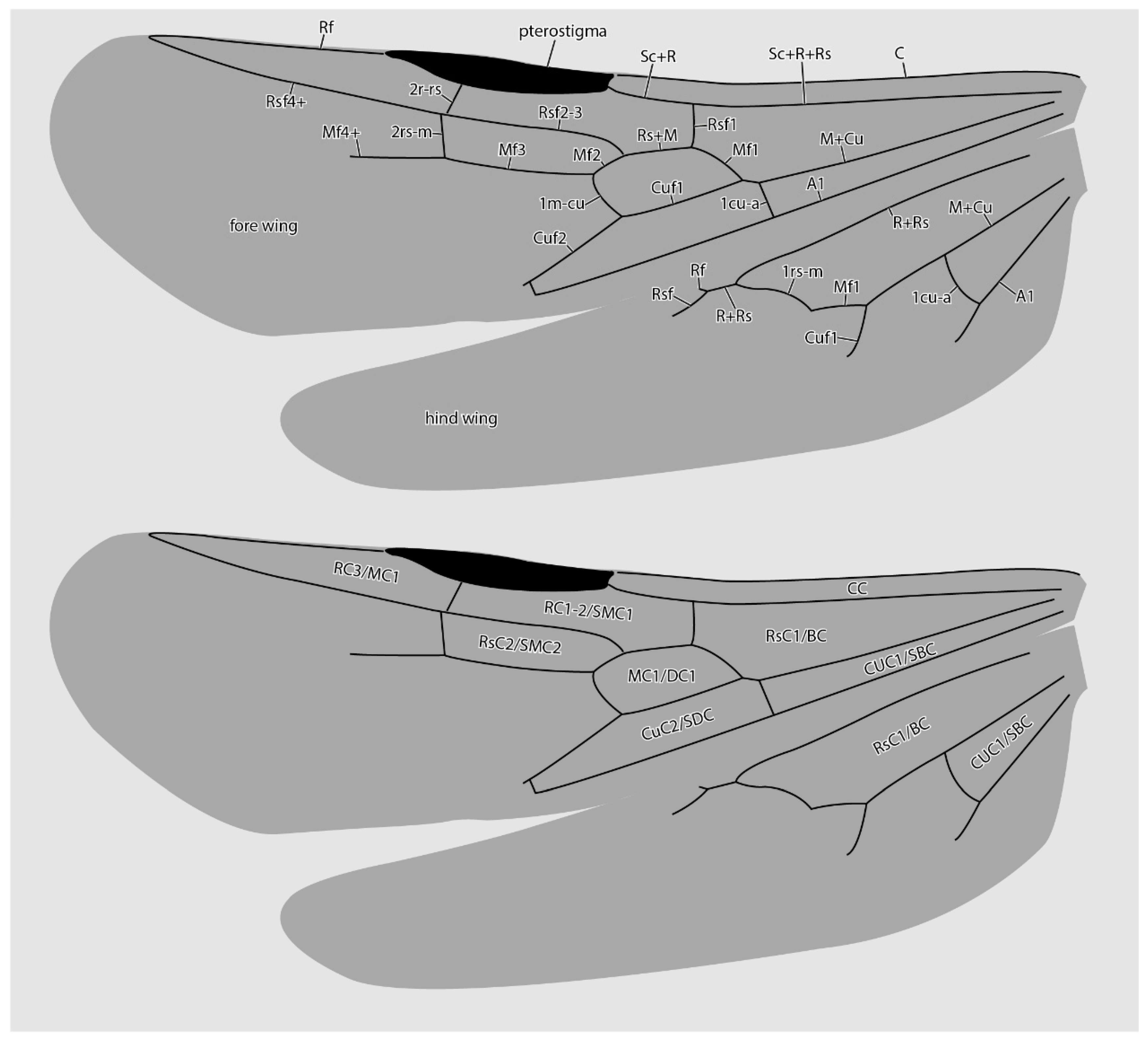 Insects 13 00796 g005