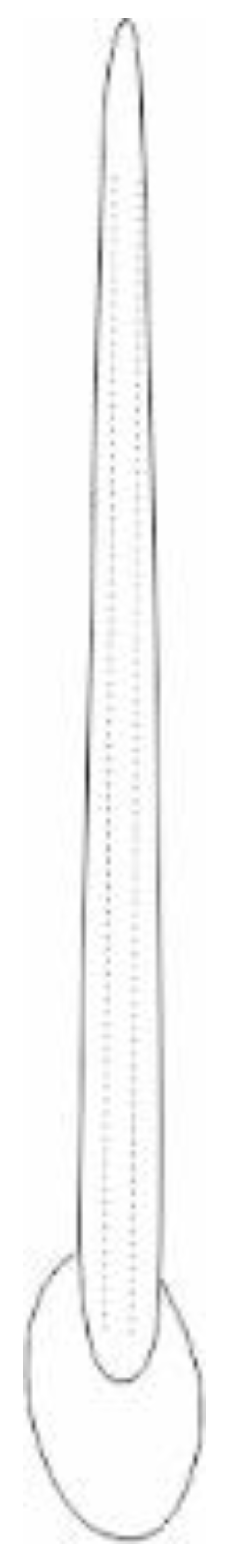 Insects 13 00799 i004