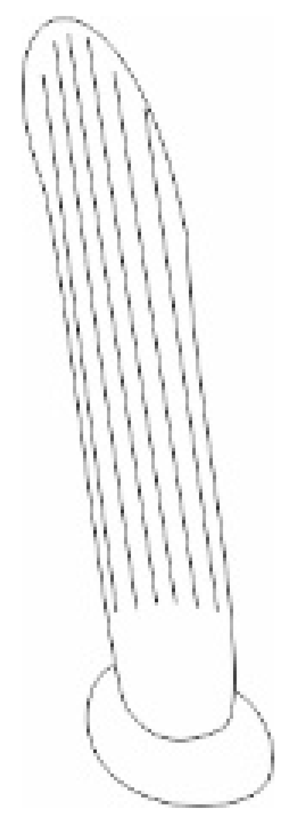 Insects 13 00799 i006