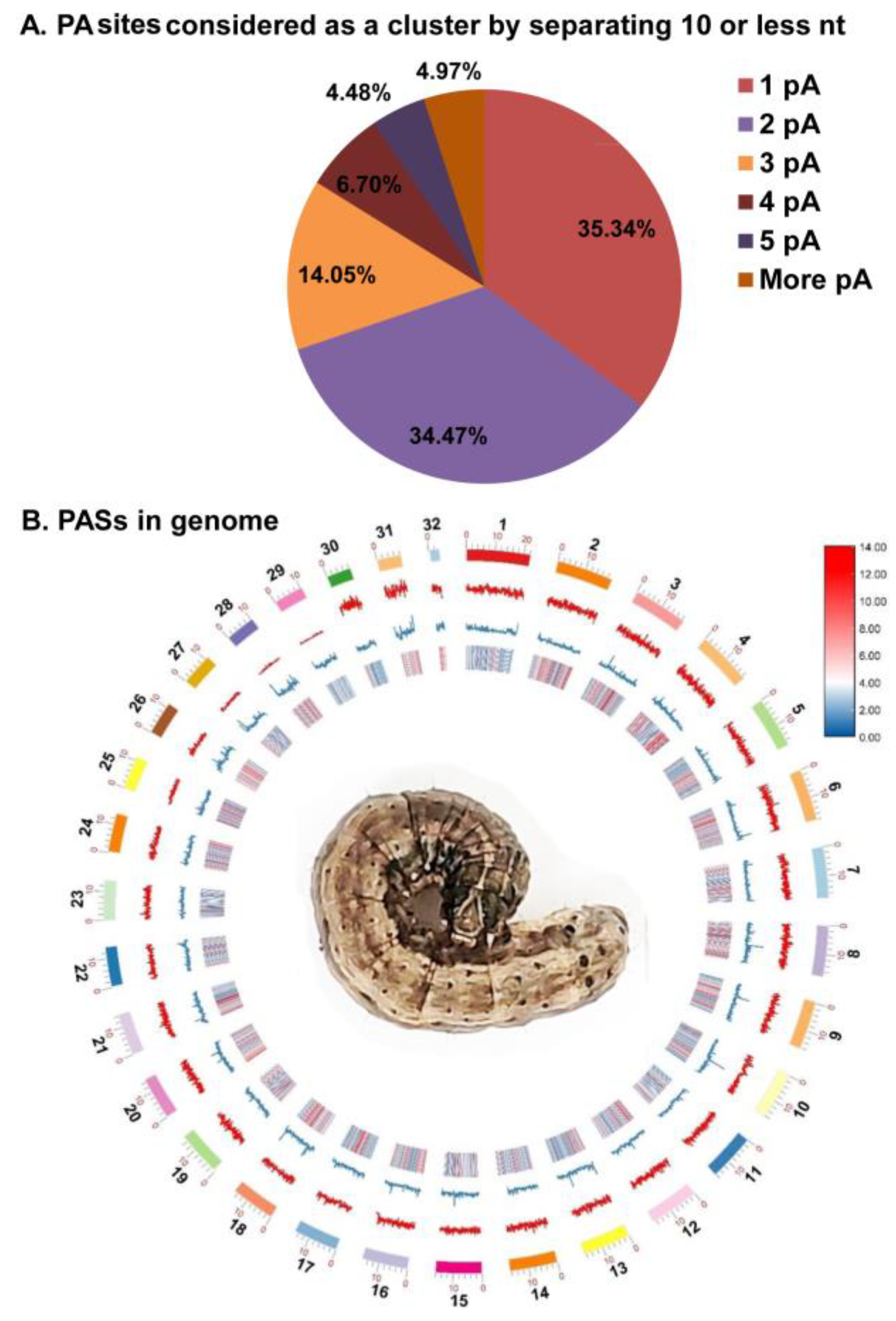 Insects 13 00803 g001