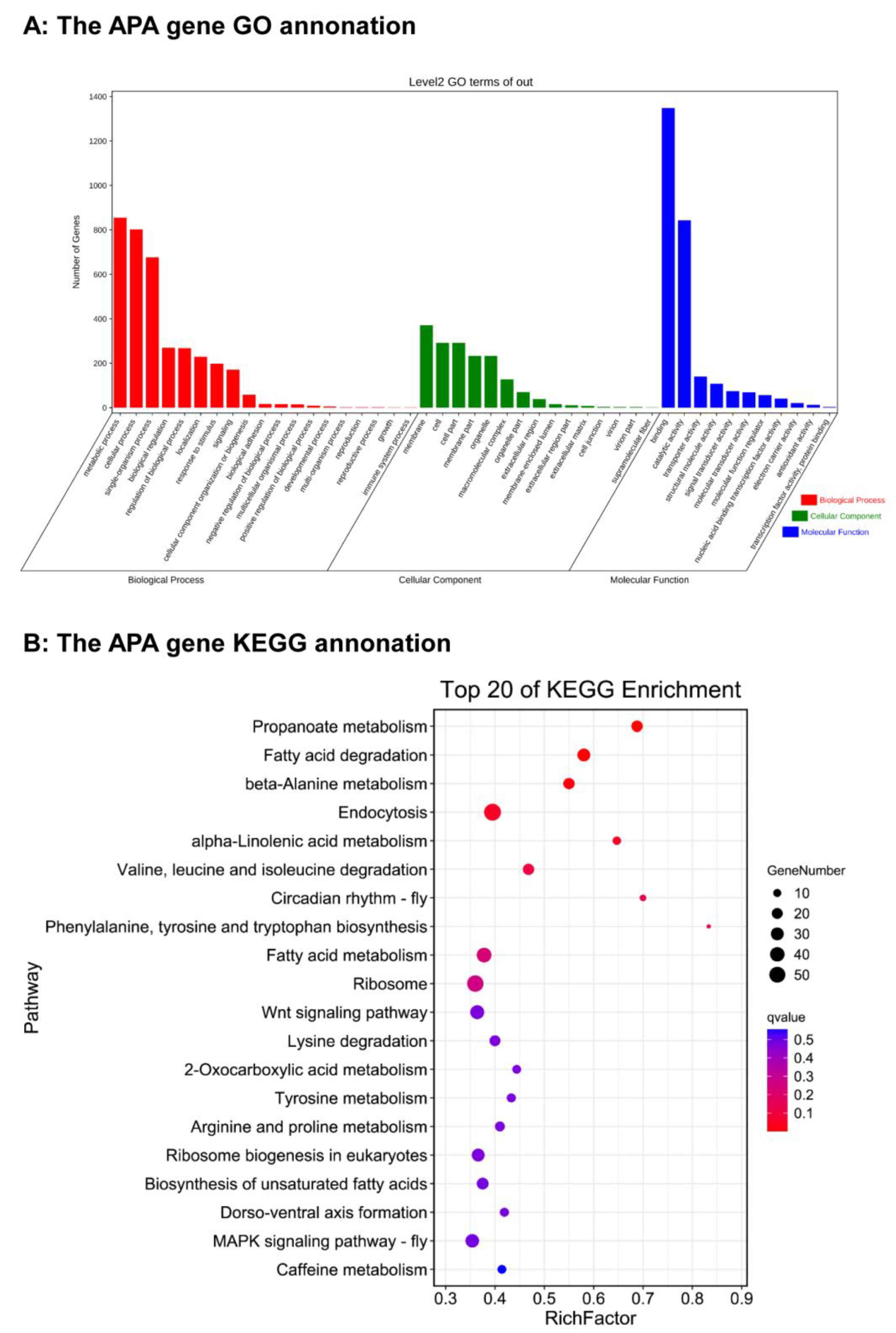 Insects 13 00803 g004