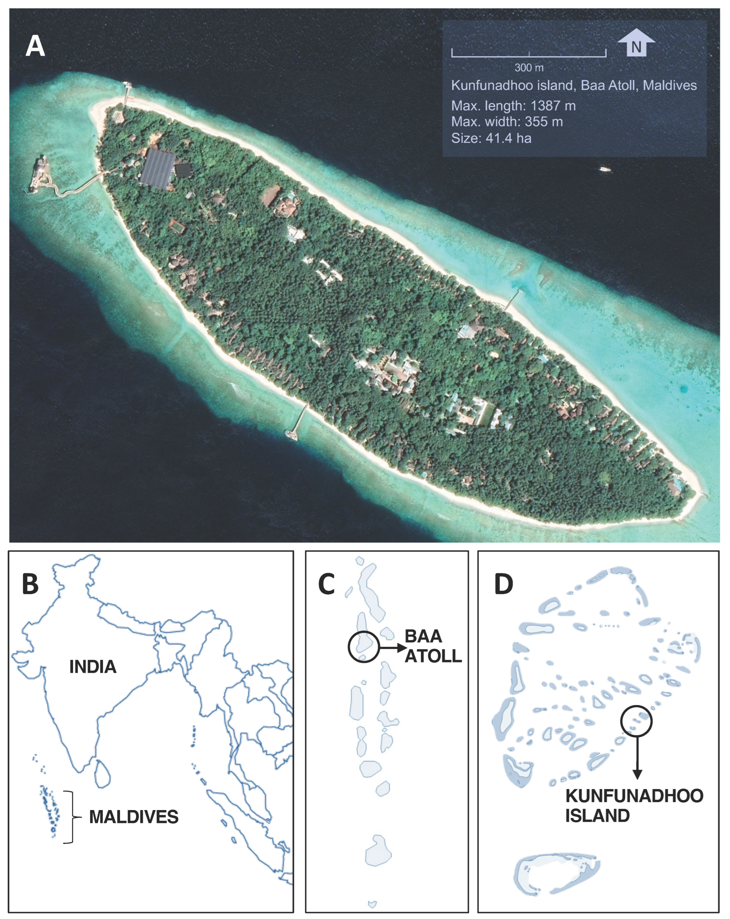 Insects 13 00805 g001