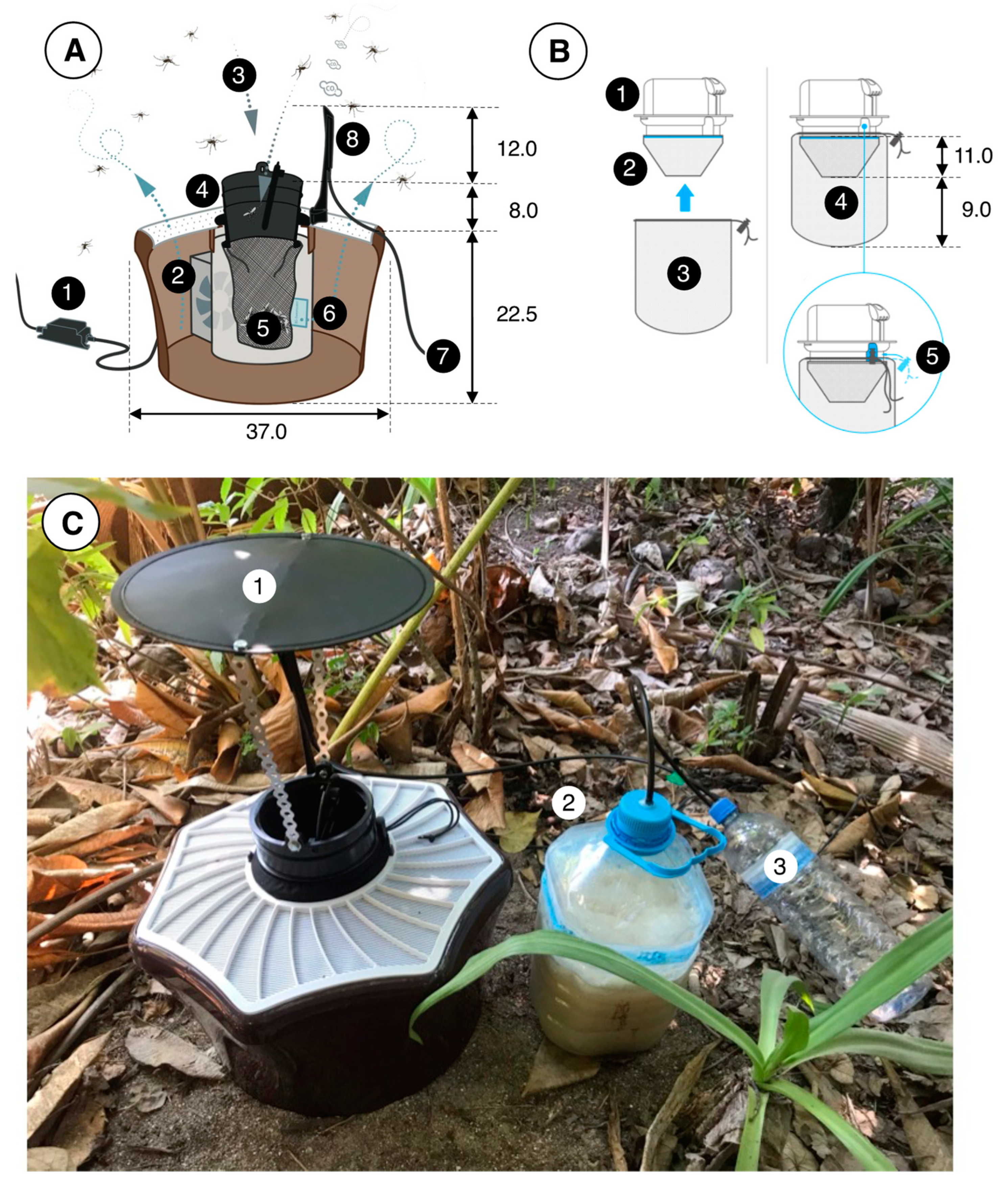 Insects 13 00805 g003