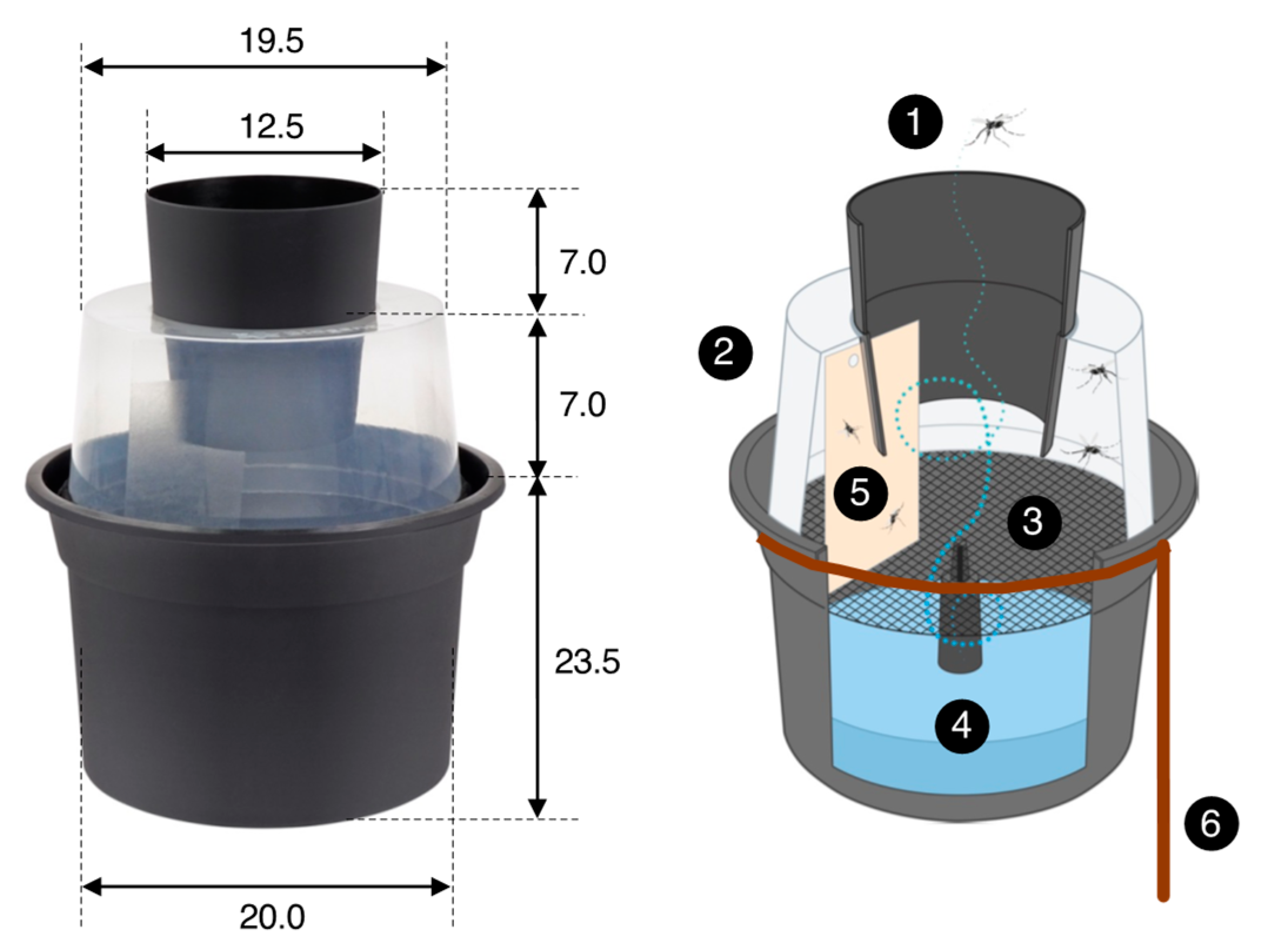 Insects 13 00805 g004