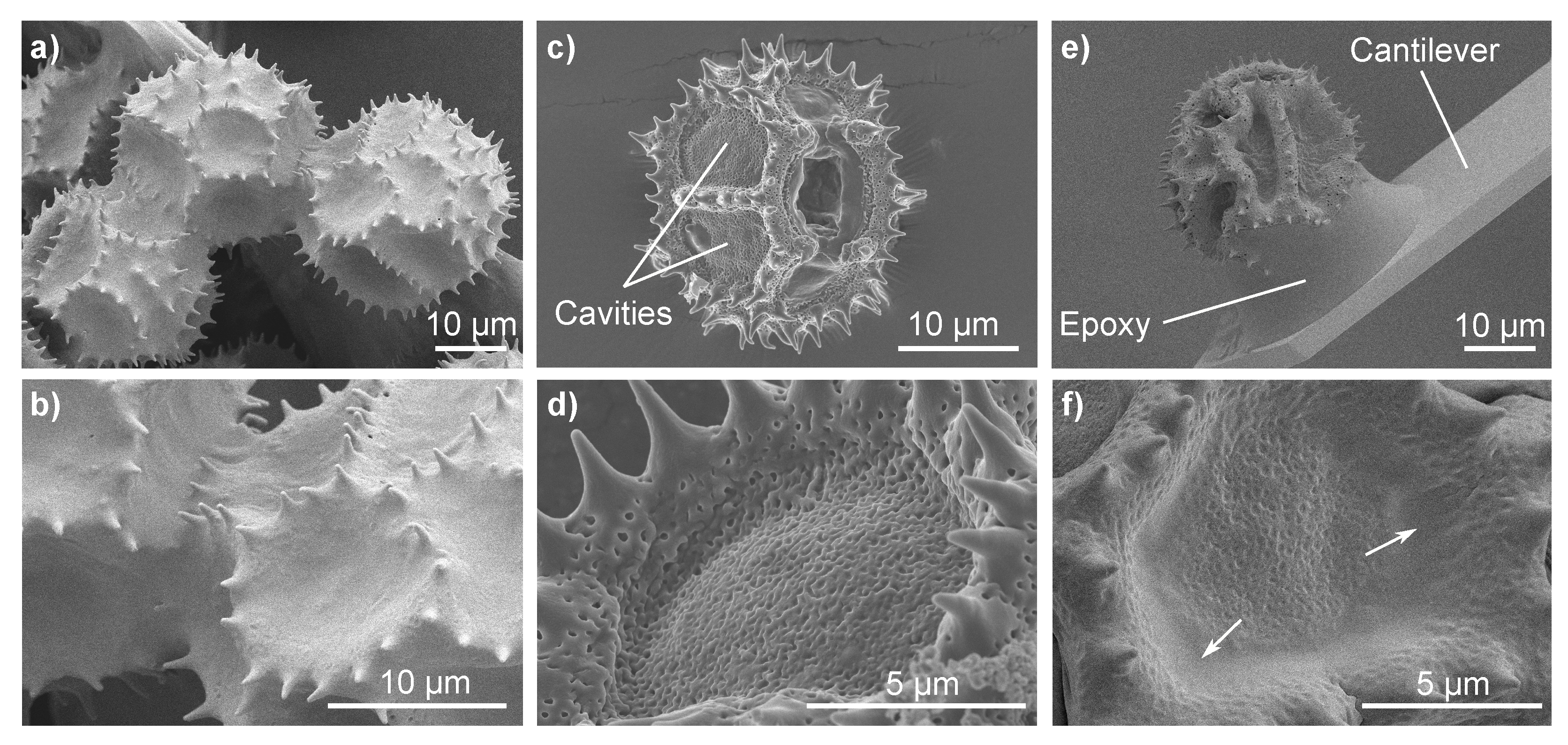 Insects 13 00811 g001