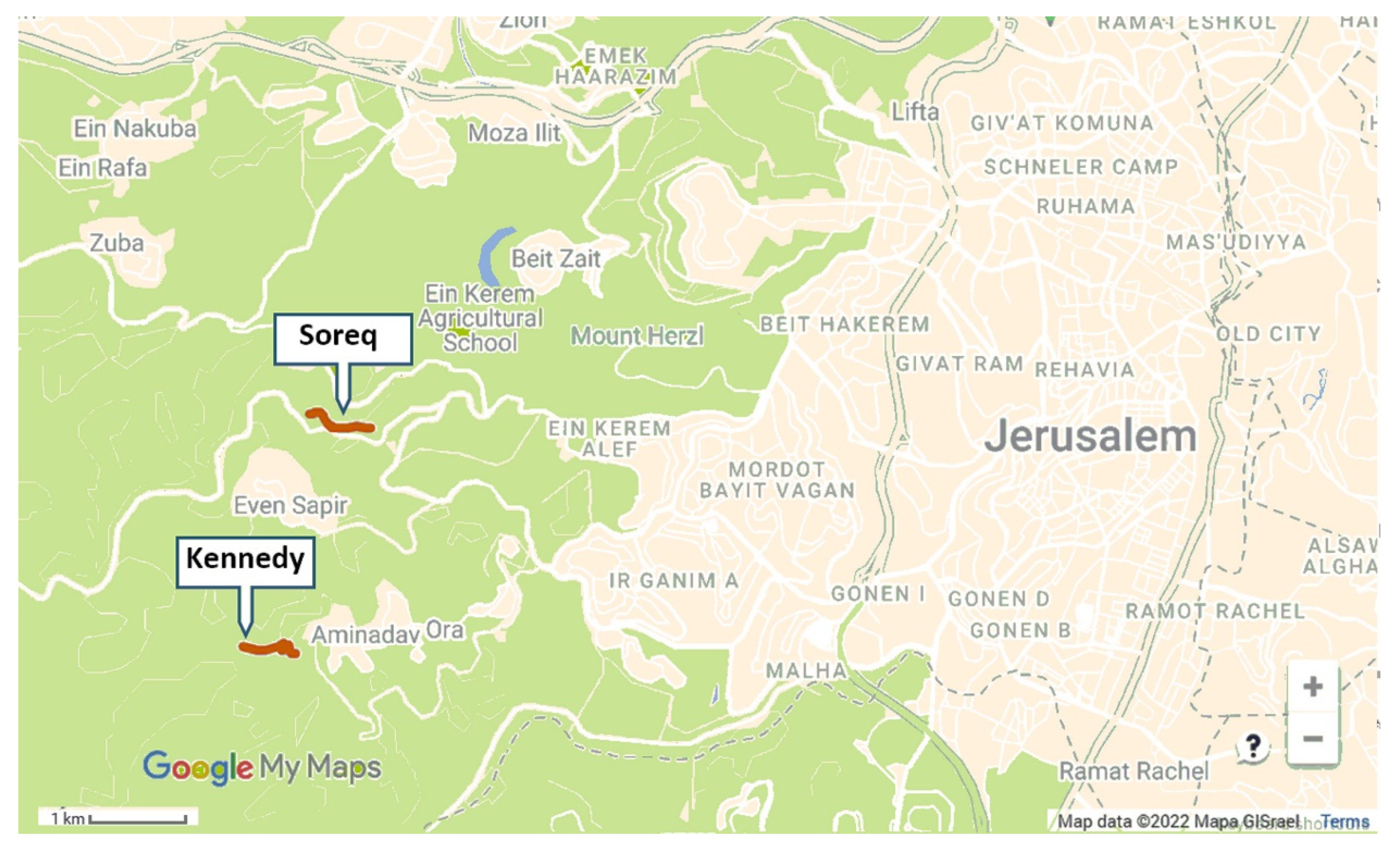 Insects 13 00816 g001 Insects 13 00816 g001