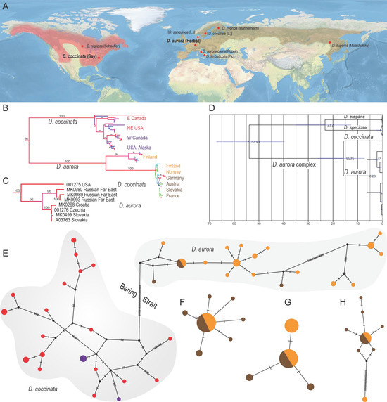 Insects 13 00817 g001